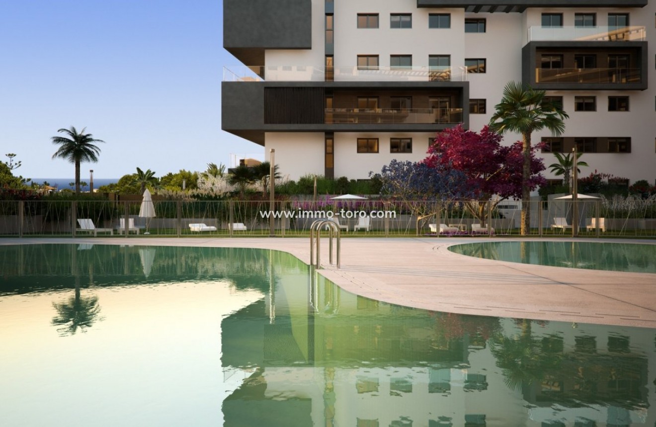 New Build - Penthouse - Orihuela - Campoamor