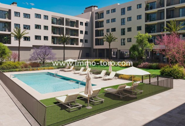 Apartamento - Nueva construcción  - Alicante - San Agustín