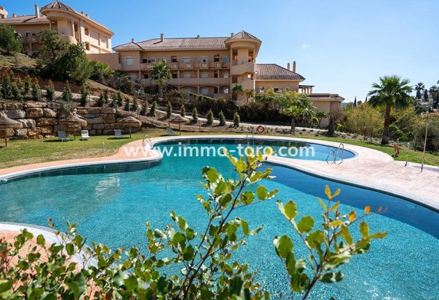 Appartement  - Nieuwbouw - Marbella - Nueva Andalucia