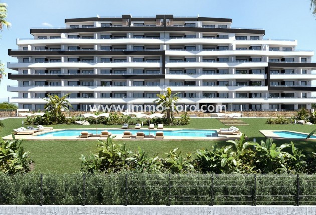 Appartement - Nouvelle construction - San Miguel de Salinas - San Miguel de Salinas