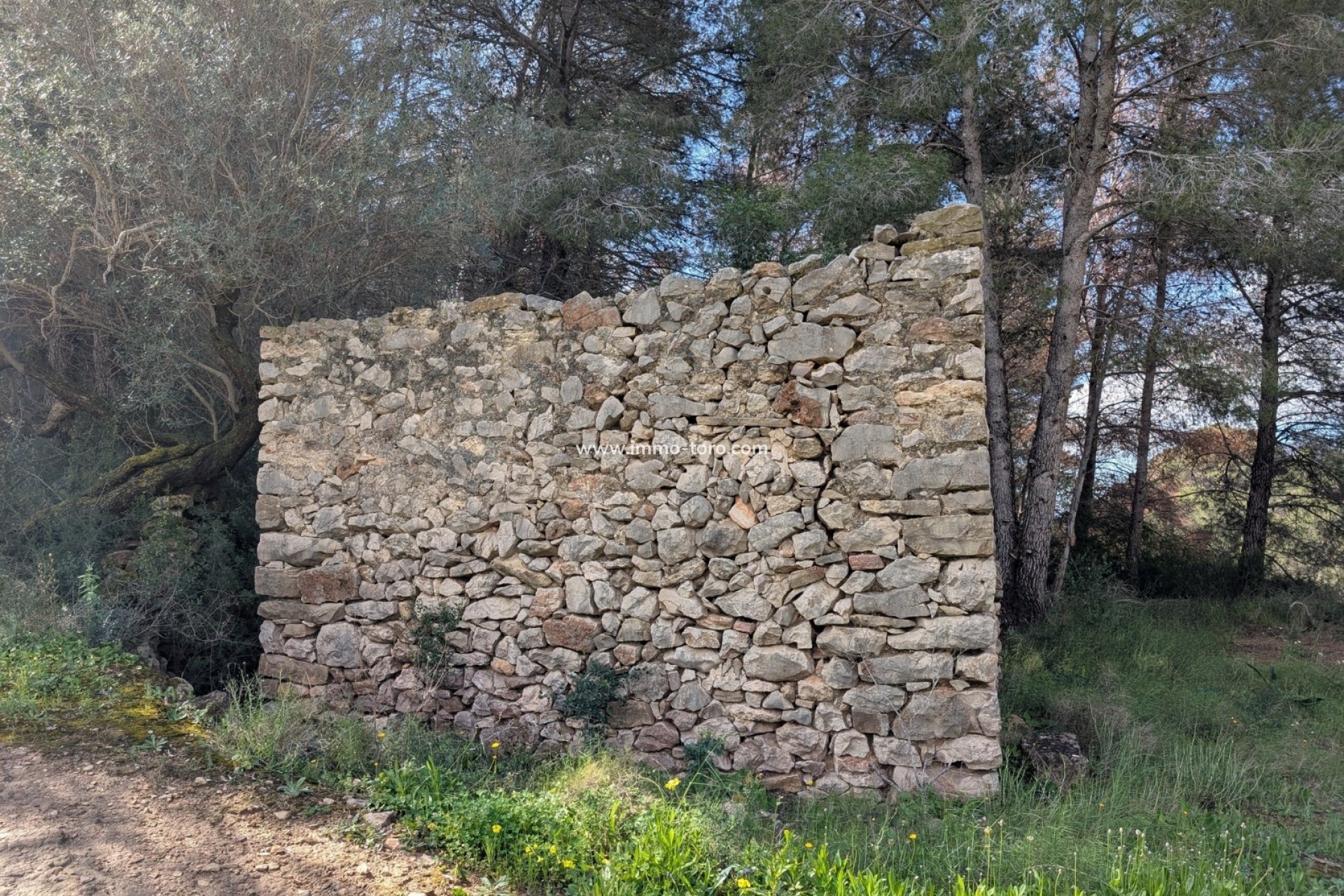 Herverkoop - Plot - Benissa - Partida Biasner