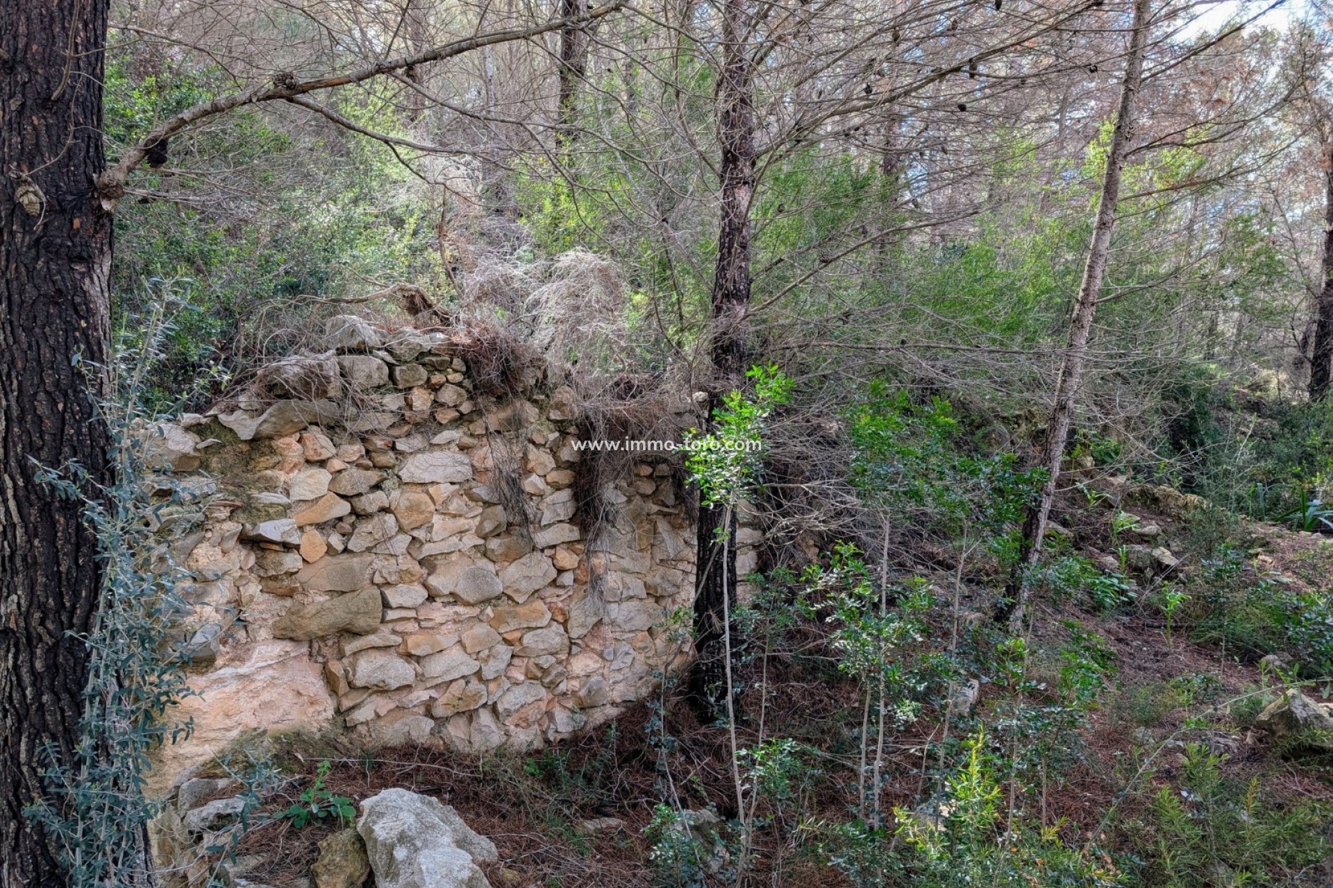 Herverkoop - Plot - Benissa - Partida Biasner