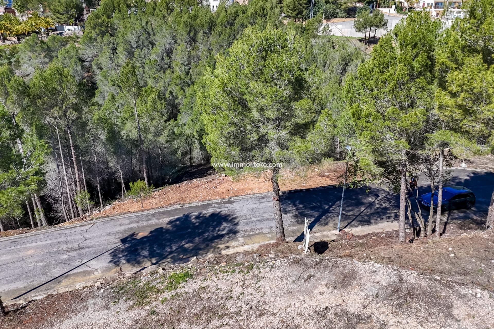 Herverkoop - Plot - Callosa d'en Sarrià - Santa clara