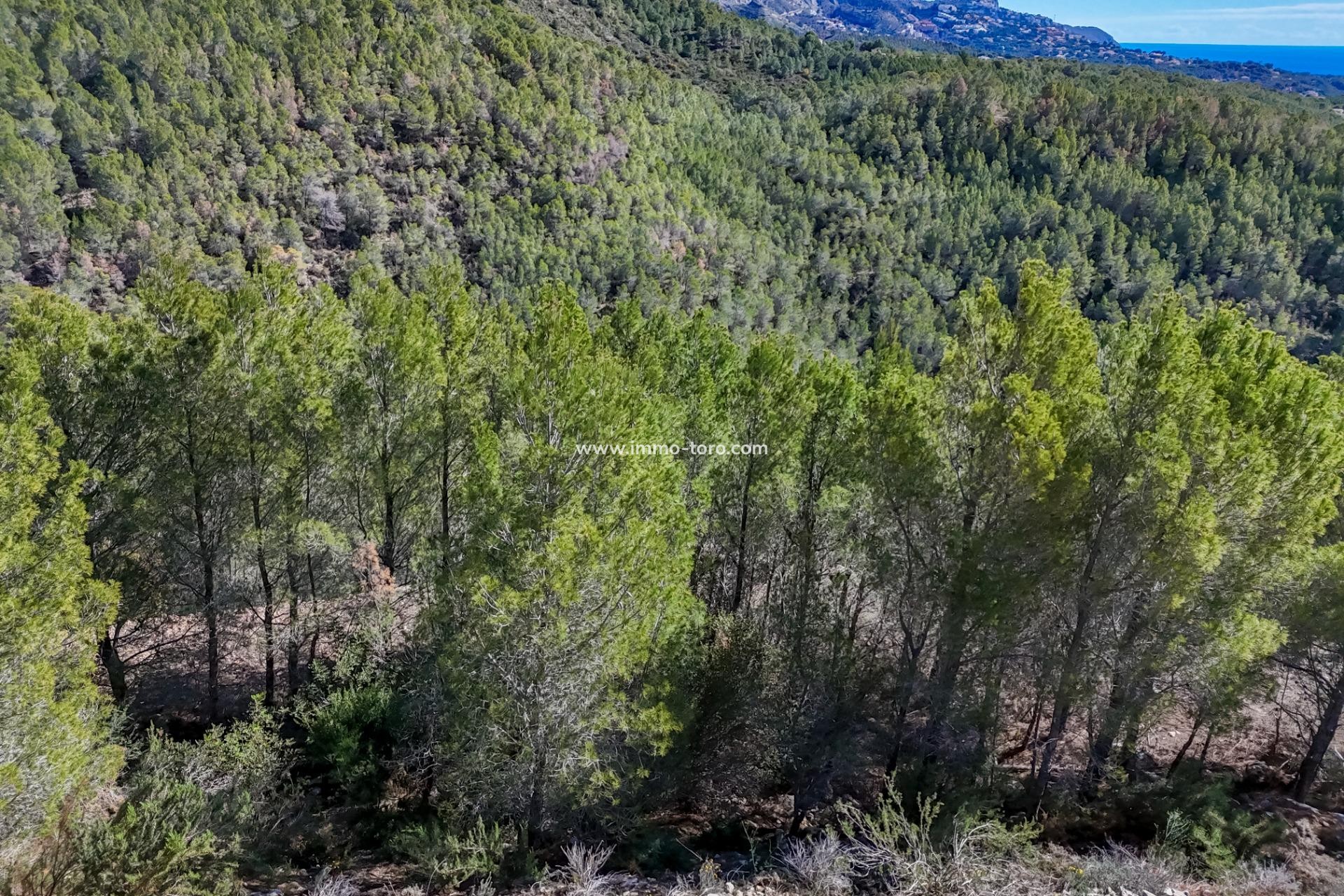 Herverkoop - Plot - Callosa d'en Sarrià - Santa clara