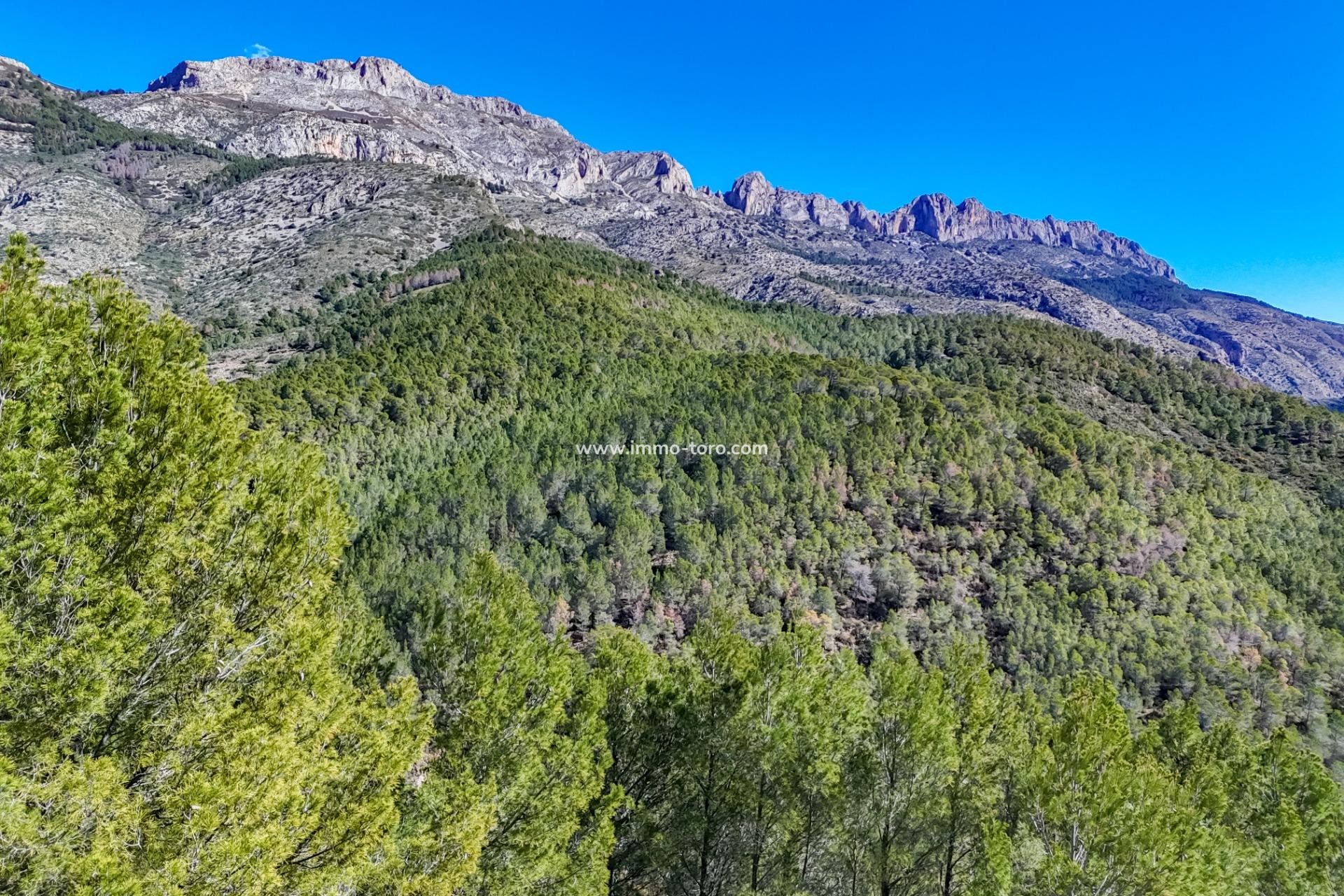 Herverkoop - Plot - Callosa d'en Sarrià - Santa clara