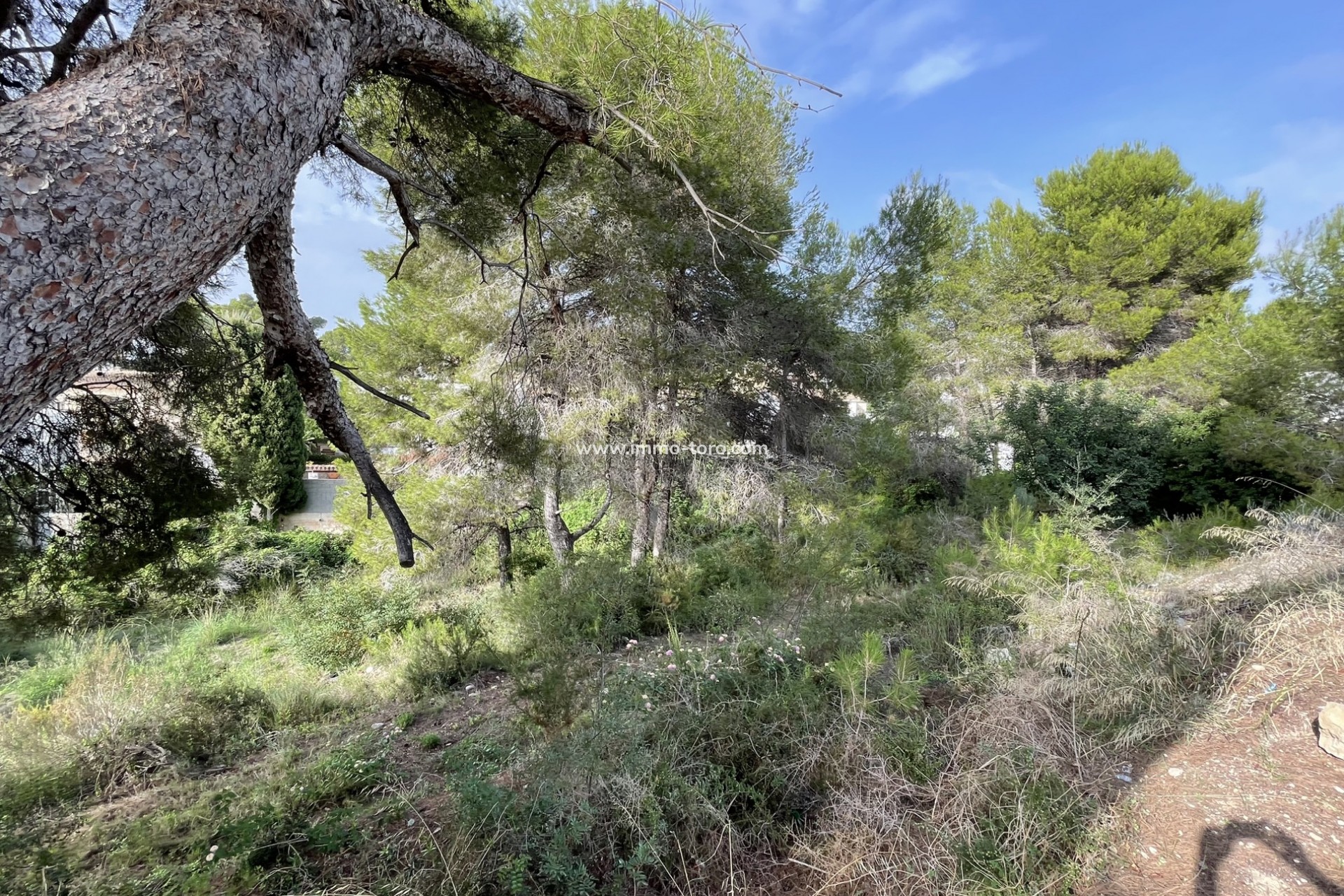 Herverkoop - Plot - Moraira - Costera del Mar Moraira