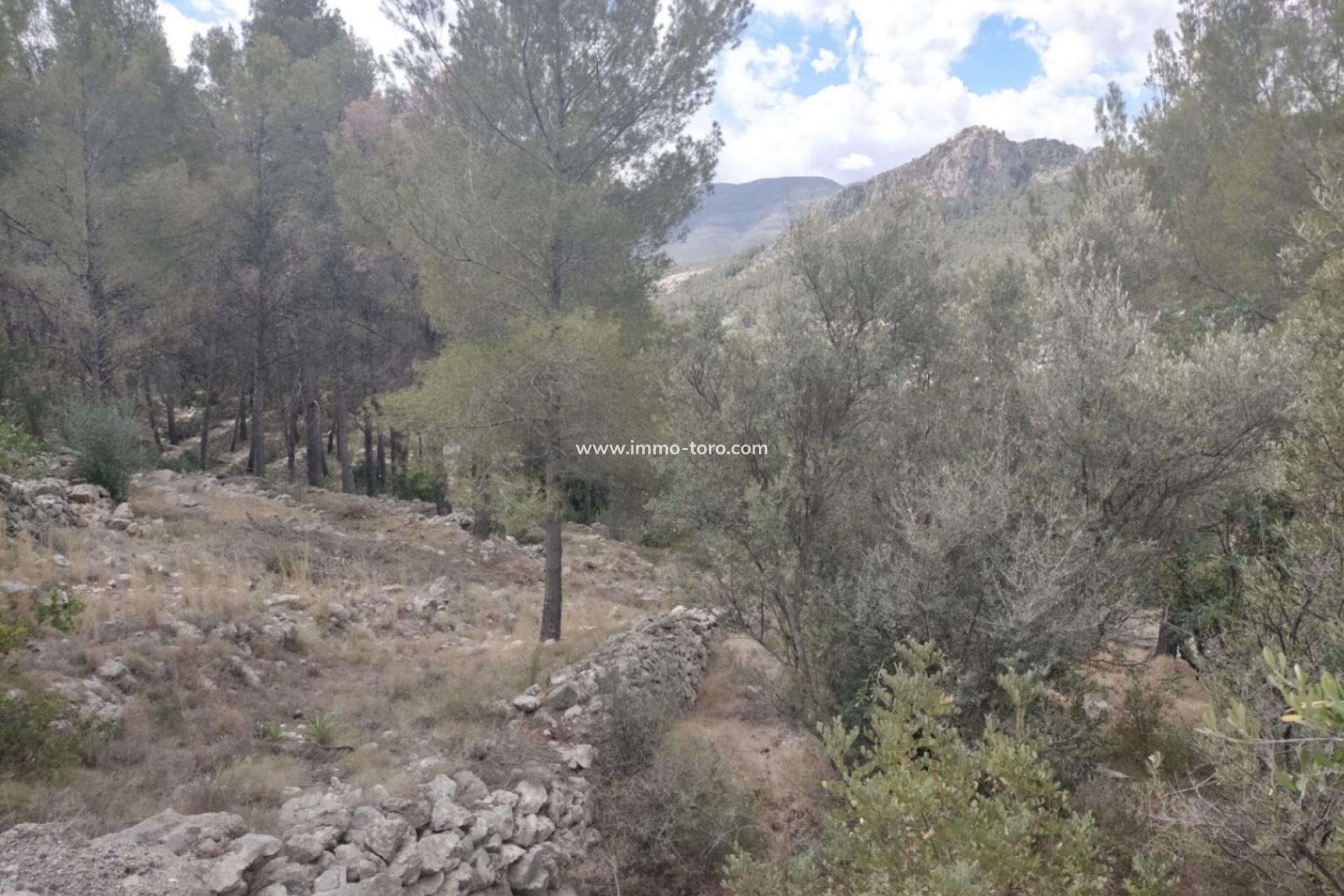 Herverkoop - Plot - Orba - El Aspre