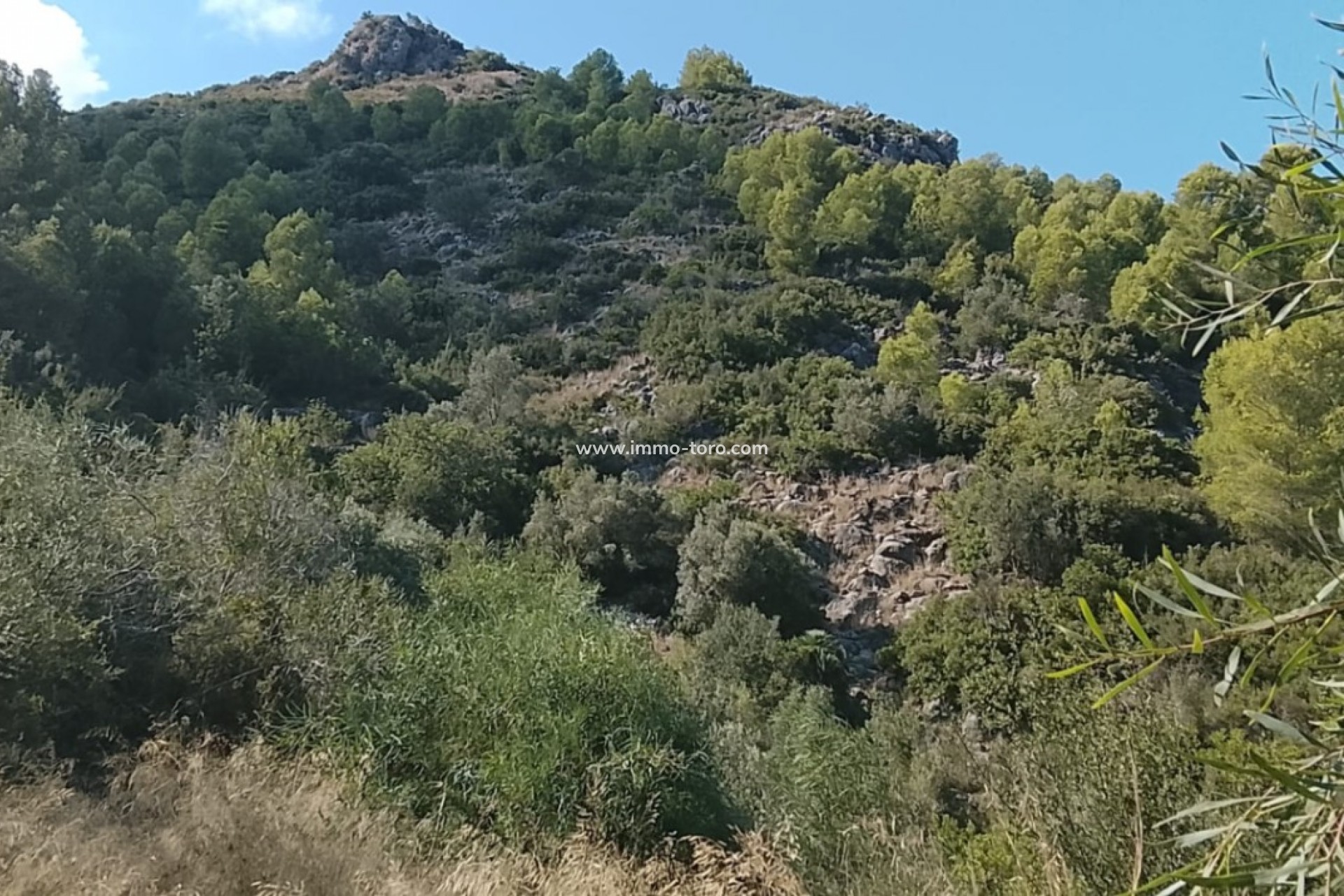 Herverkoop - terrain - Ráfol de Almunia