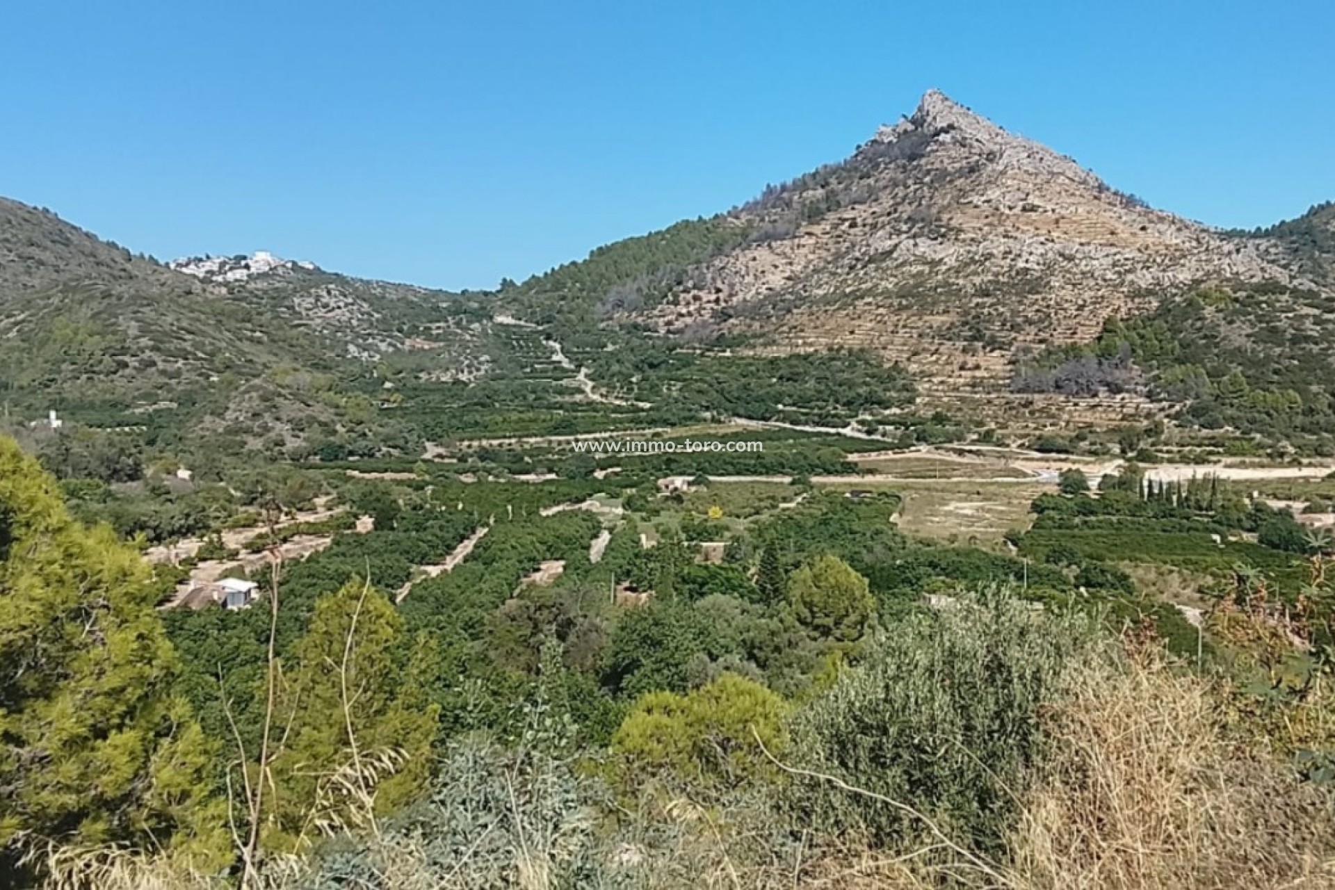 Herverkoop - terrain - Ráfol de Almunia