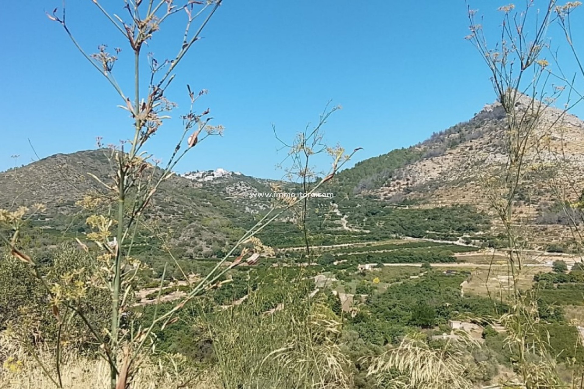 Herverkoop - terrain - Ráfol de Almunia