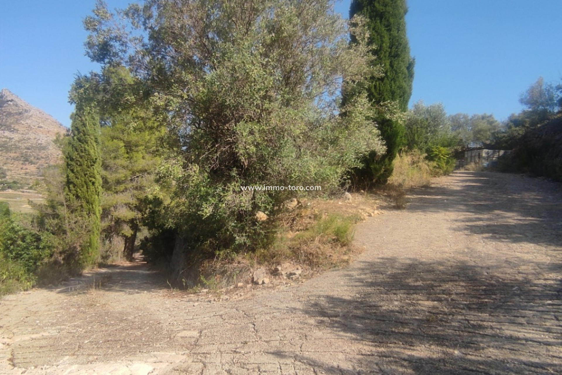 Herverkoop - terrain - Ráfol de Almunia