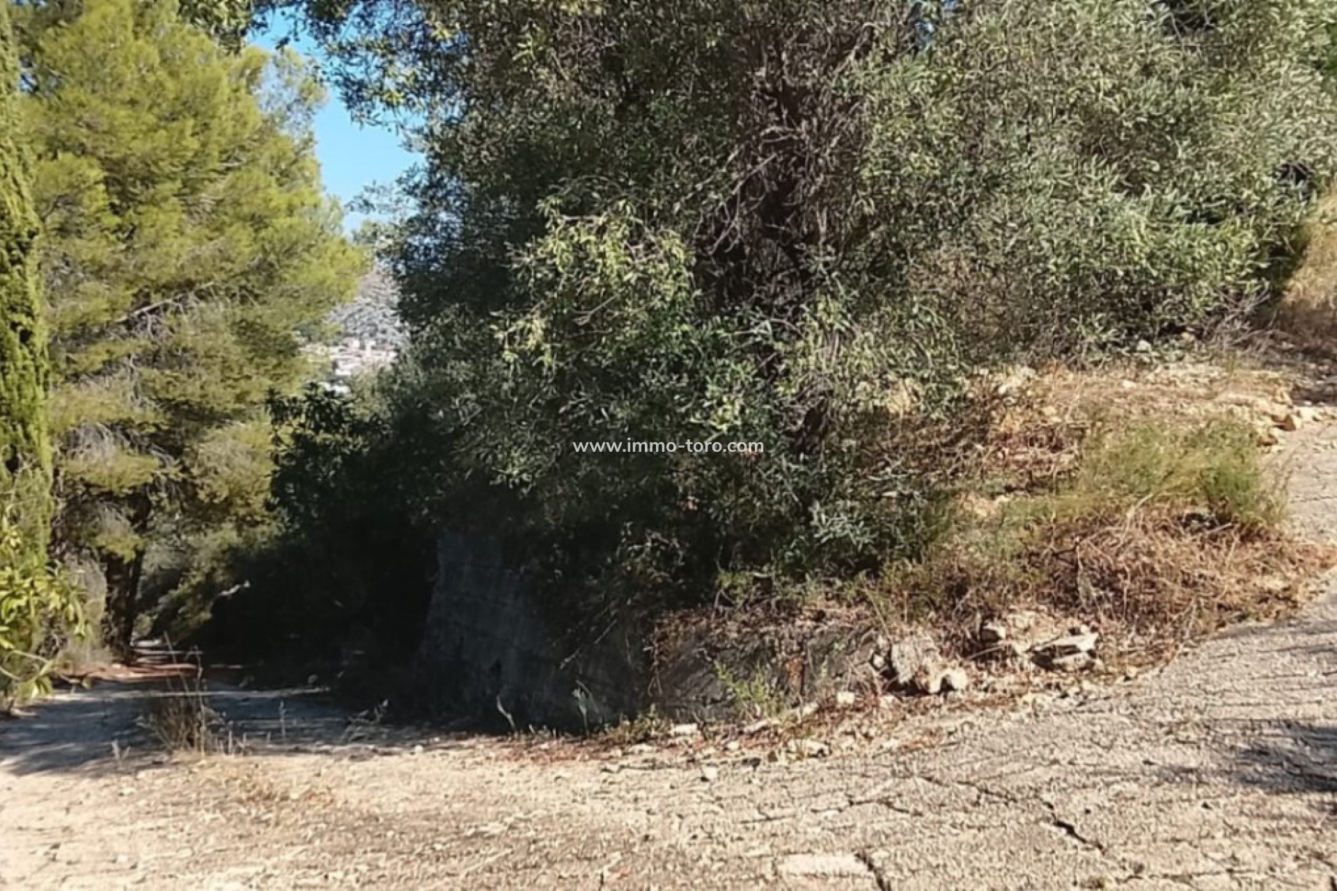 Herverkoop - terrain - Ráfol de Almunia