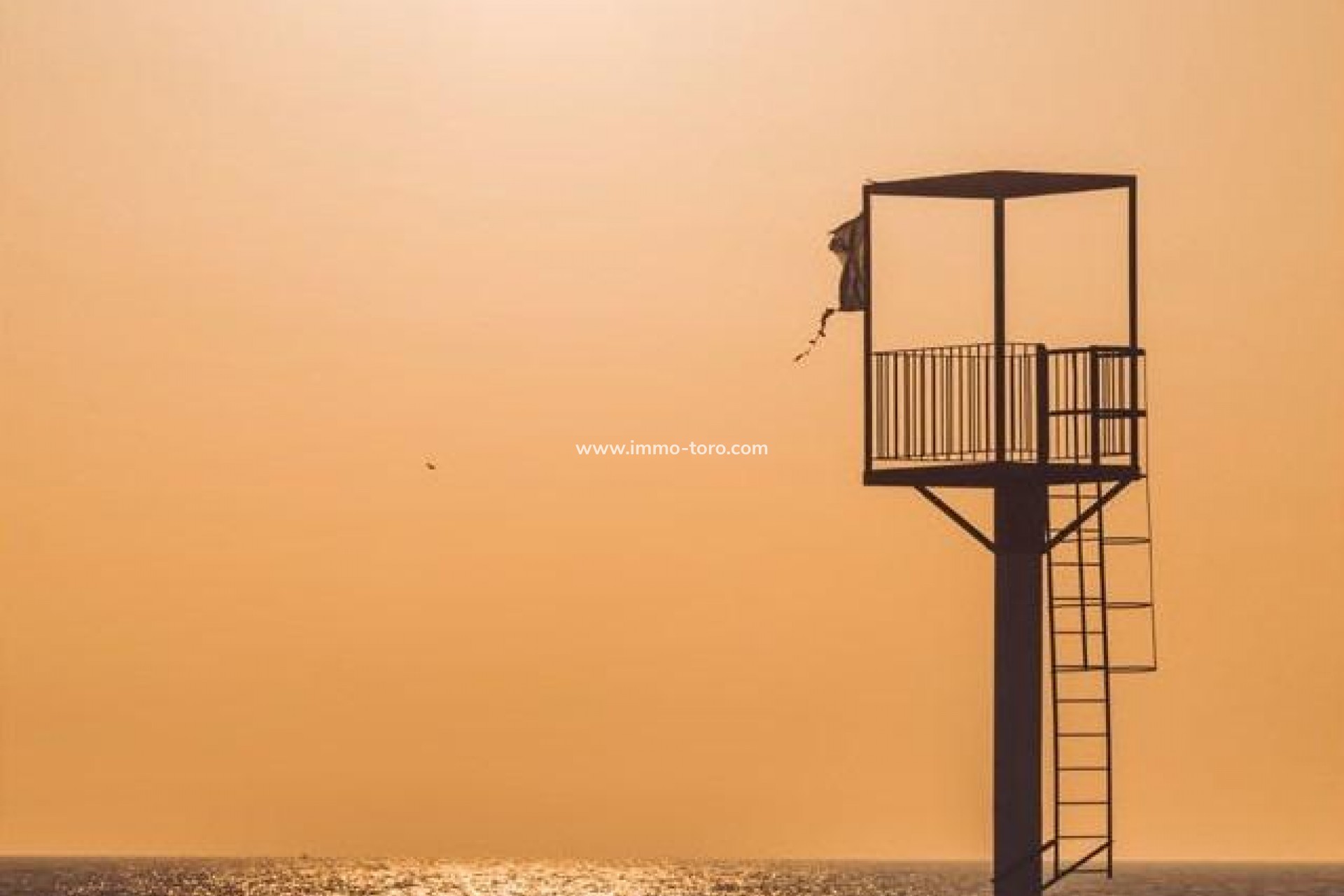 New Build -  - Almerimar