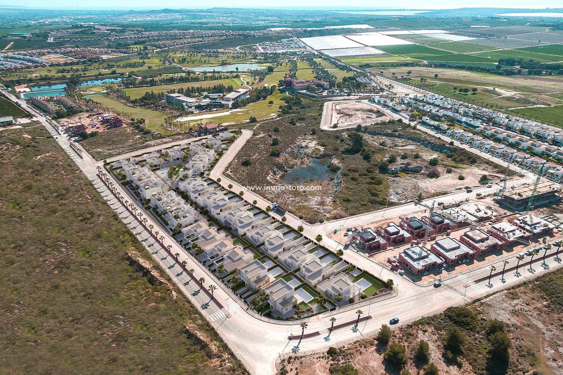 New Build - Detached house / Townhouse - Algorfa