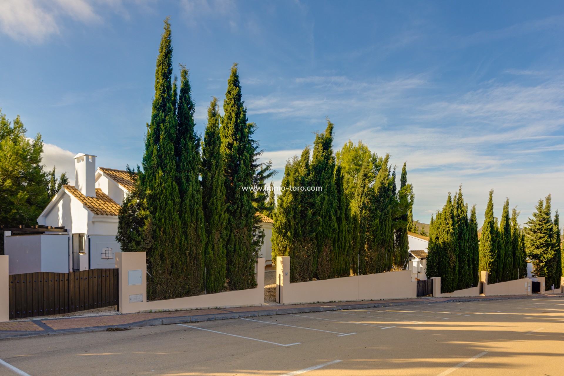 New Build - Detached house / Townhouse - Fuente Álamo - Fuente Alamo