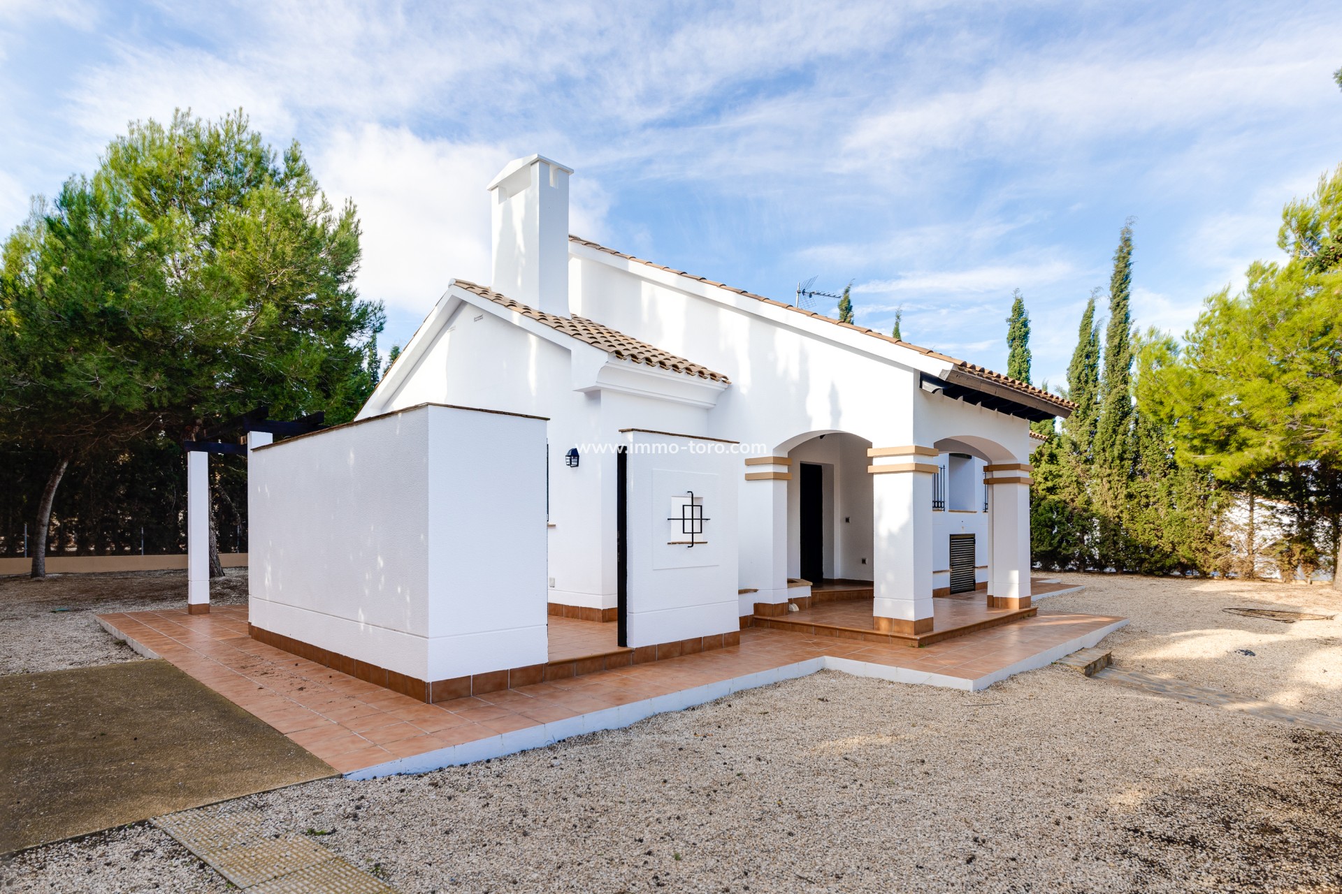 New Build - Detached house / Townhouse - Fuente Álamo - Fuente Alamo