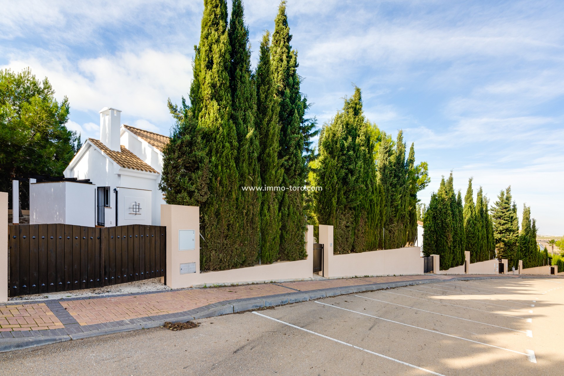 New Build - Detached house / Townhouse - Fuente Álamo - Fuente Alamo