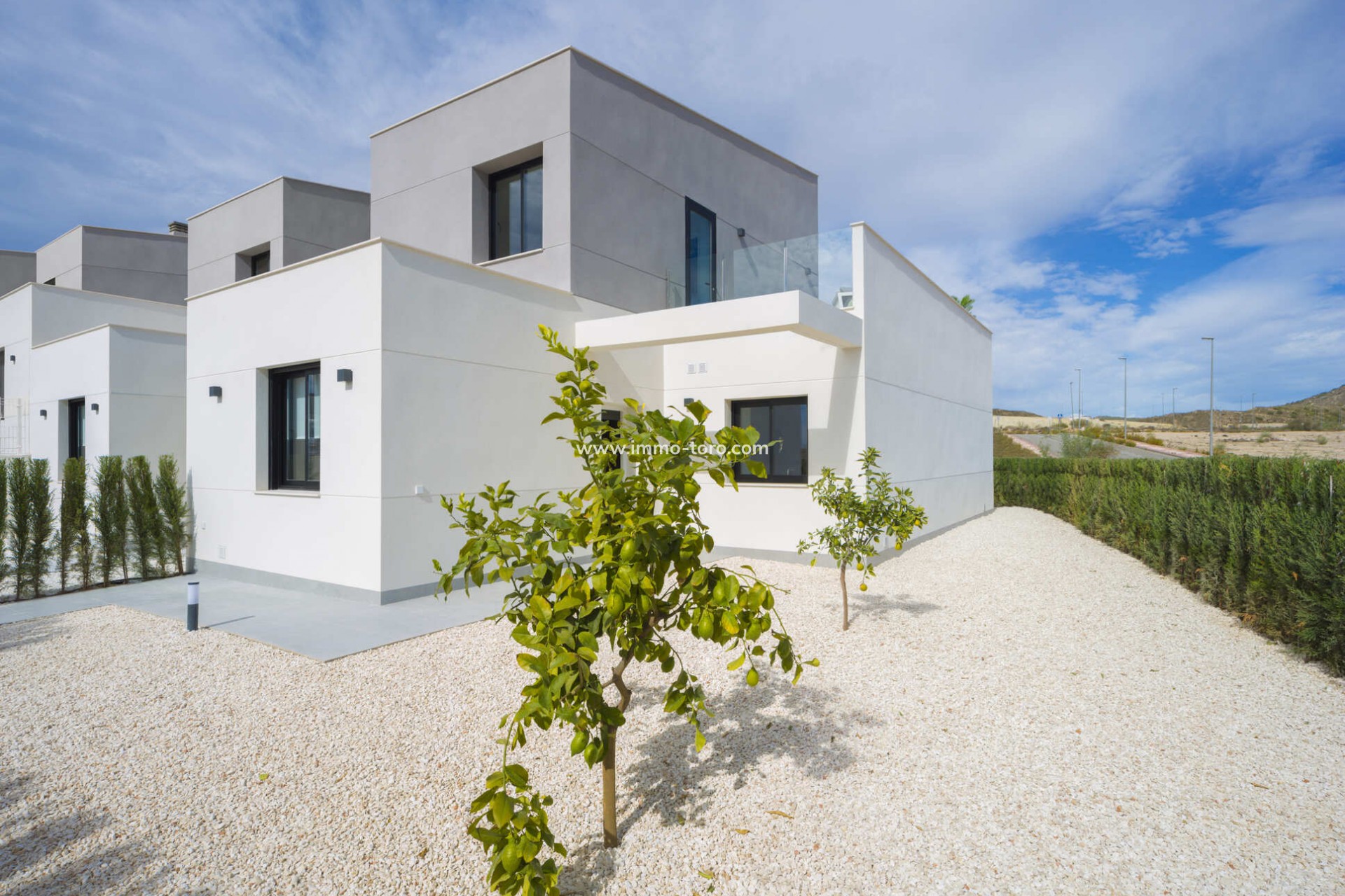 New Build - Detached house / Townhouse - Murcia