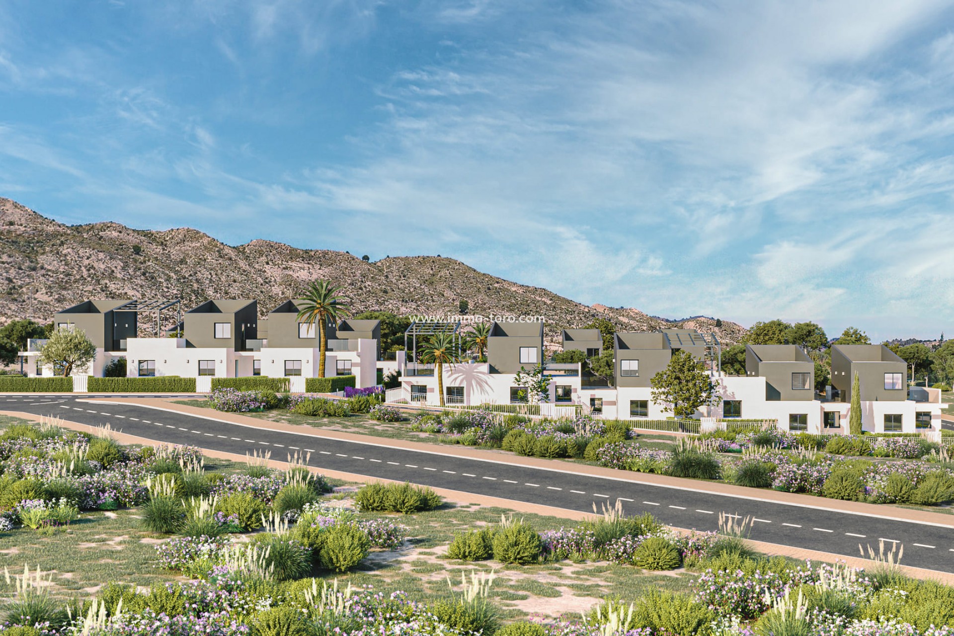 New Build - Detached house / Townhouse - Murcia