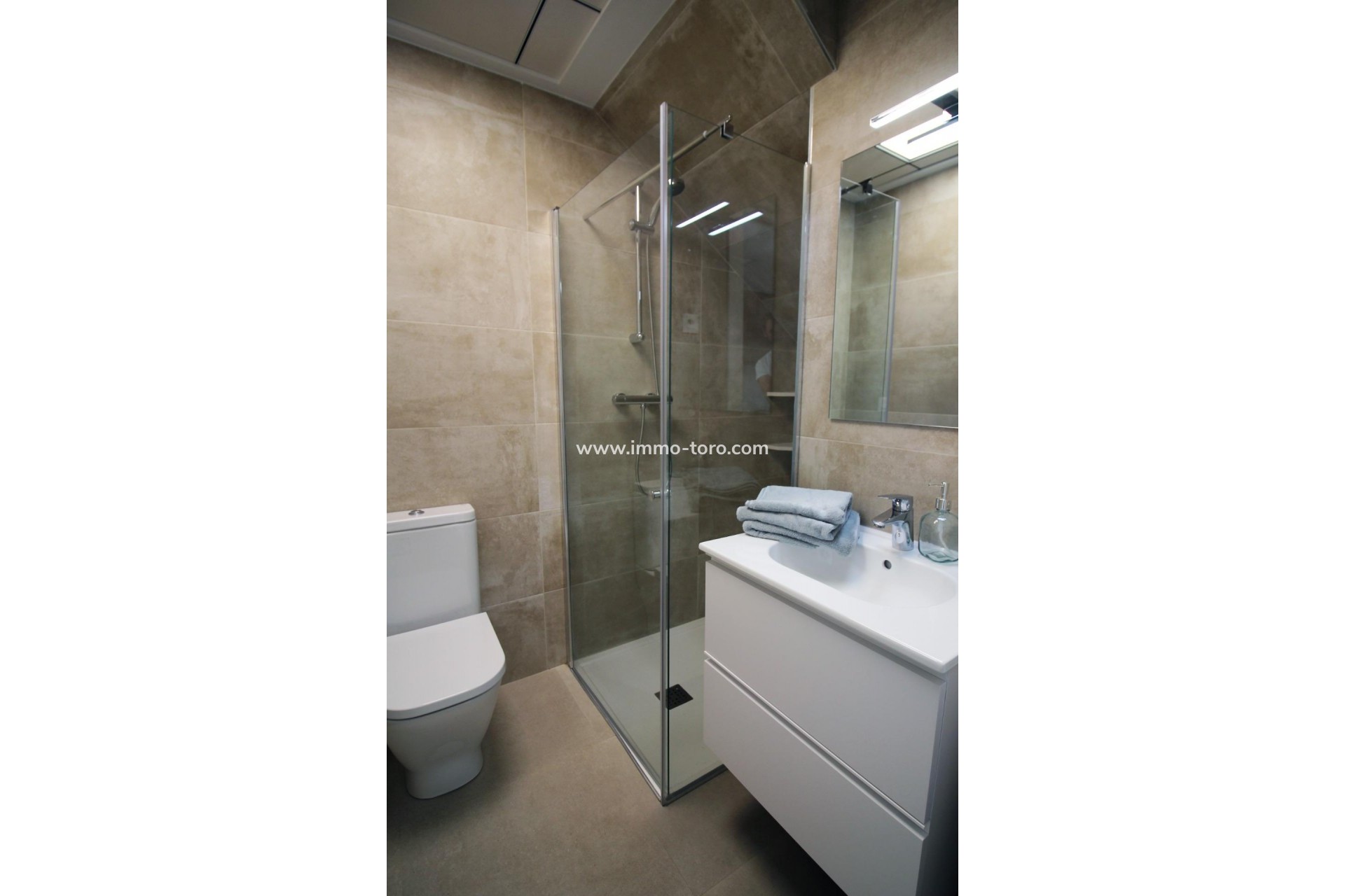 New Build - Detached house / Townhouse - Pilar de la Horadada - parque Andromeda