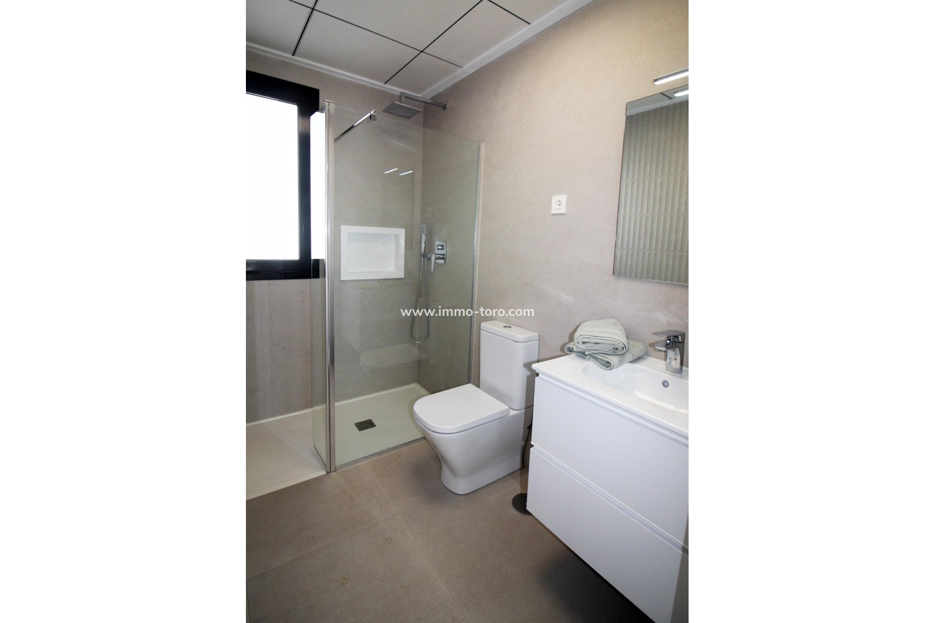 New Build - Detached house / Townhouse - Pilar de la Horadada - parque Andromeda