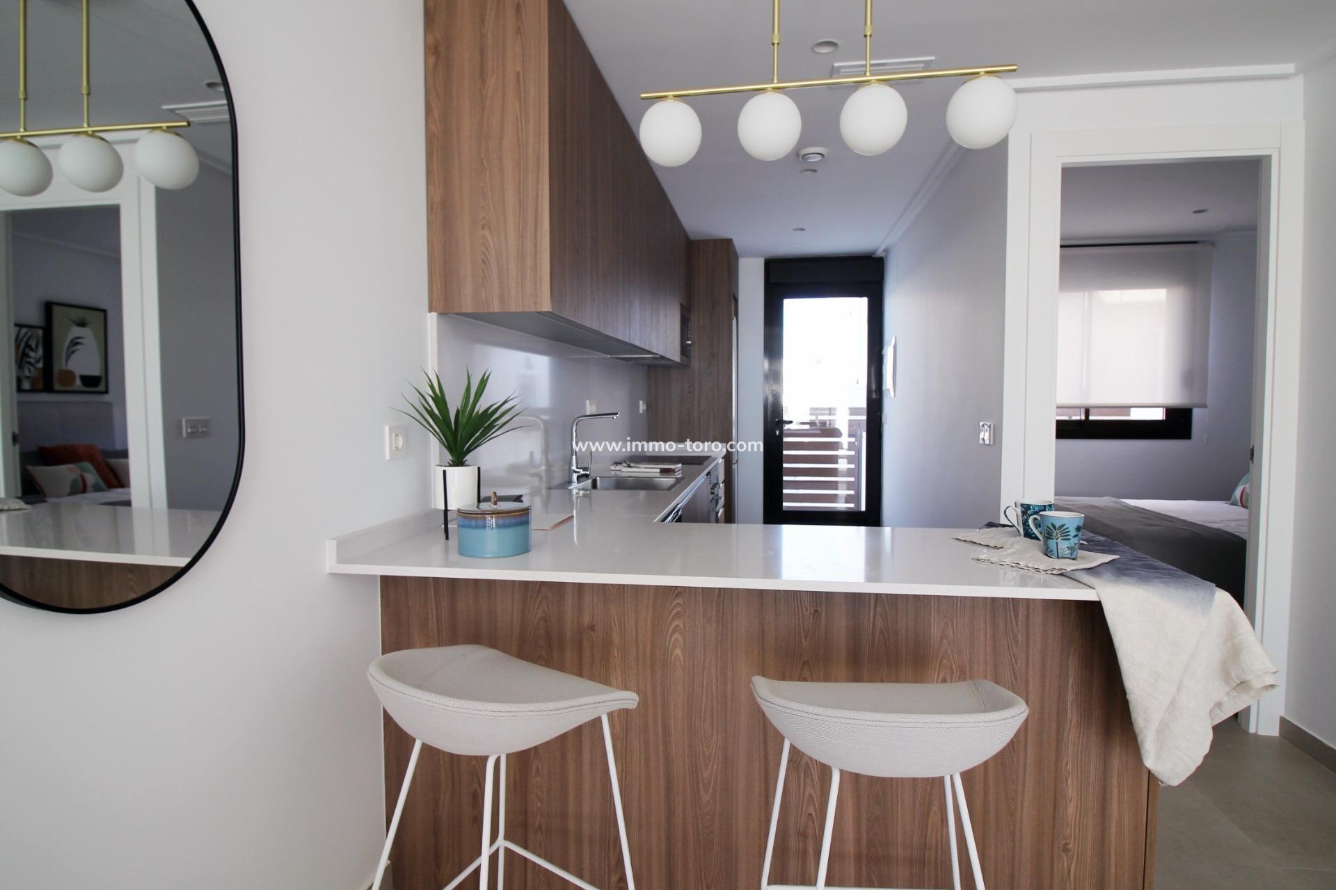 New Build - Detached house / Townhouse - Pilar de la Horadada - parque Andromeda