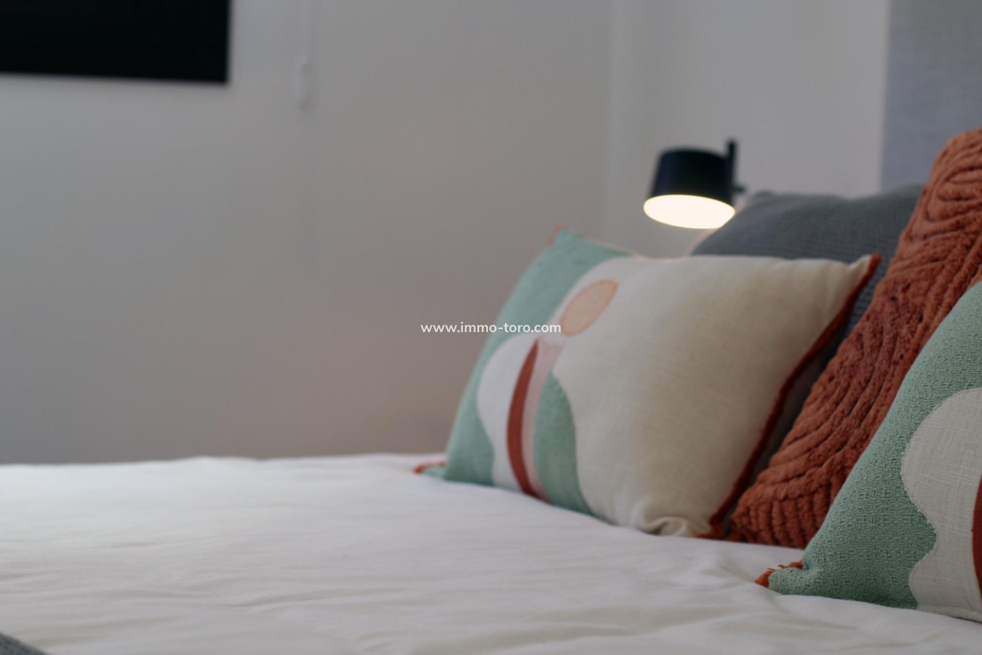 New Build - Detached house / Townhouse - Pilar de la Horadada - parque Andromeda