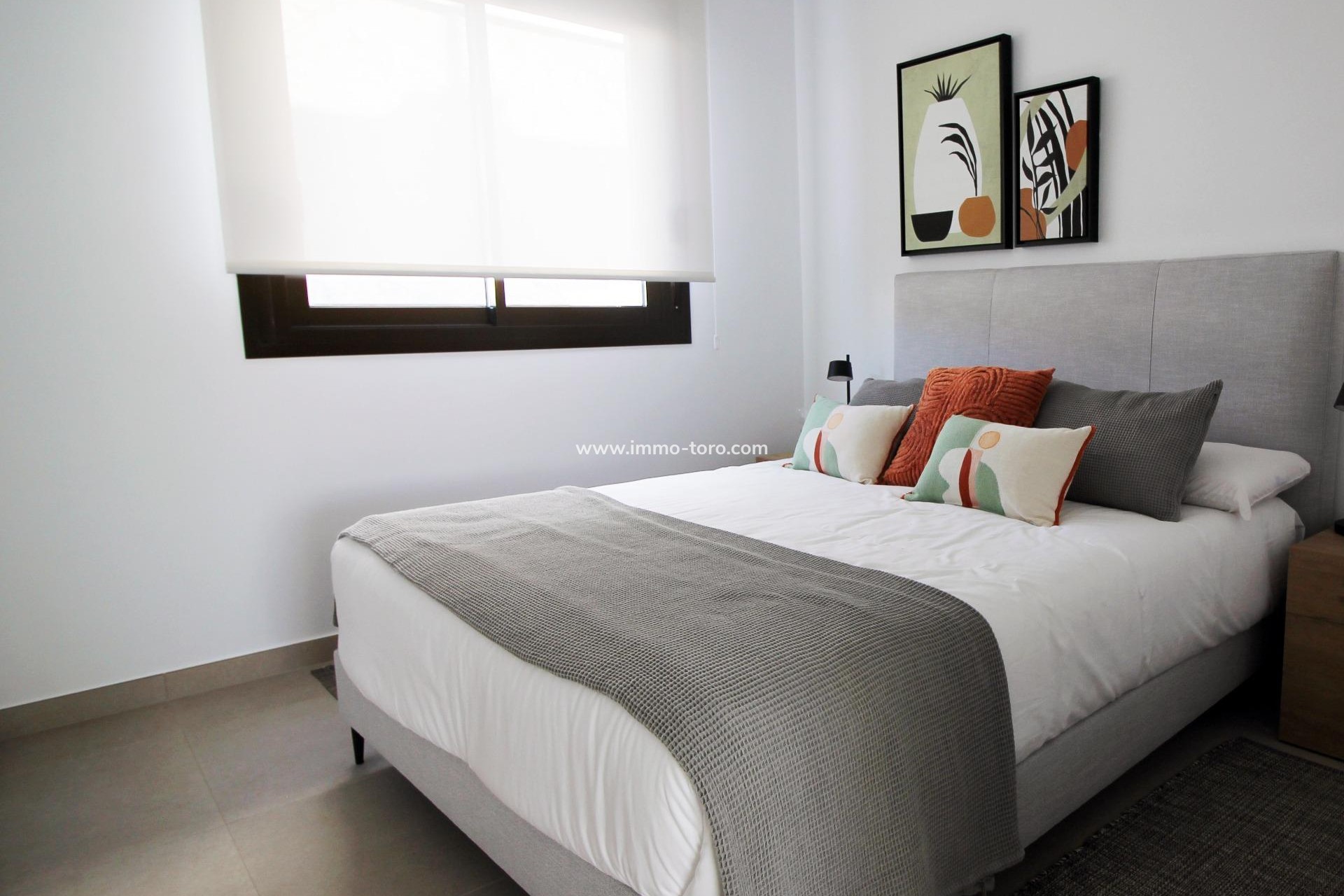 New Build - Detached house / Townhouse - Pilar de la Horadada - parque Andromeda