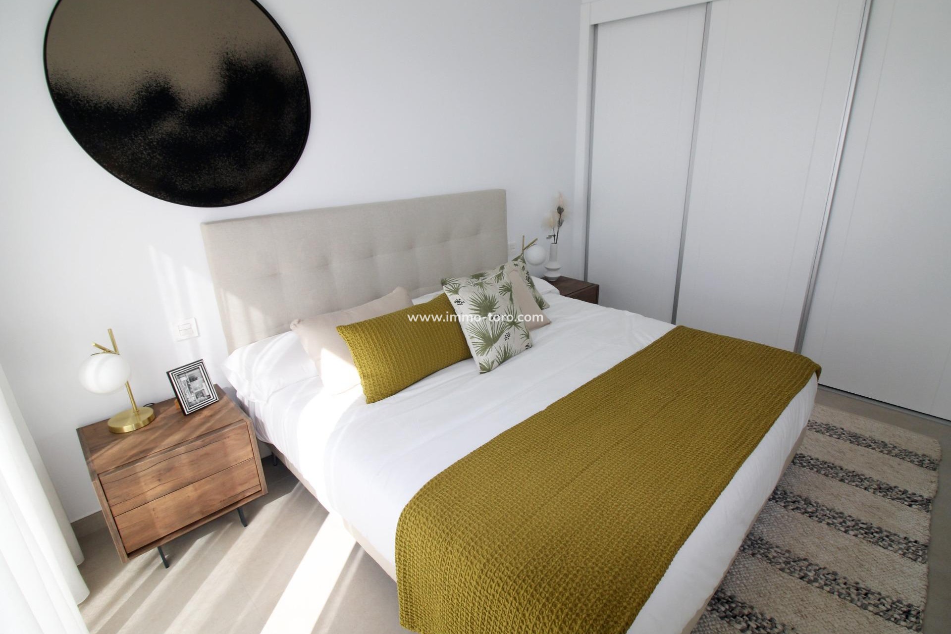 New Build - Detached house / Townhouse - Pilar de la Horadada - parque Andromeda