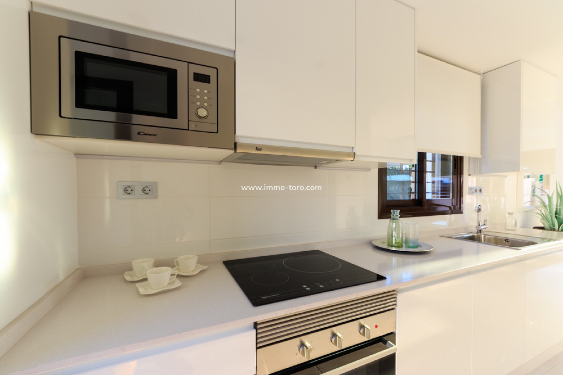 New Build - Detached house / Townhouse - Pilar de la Horadada