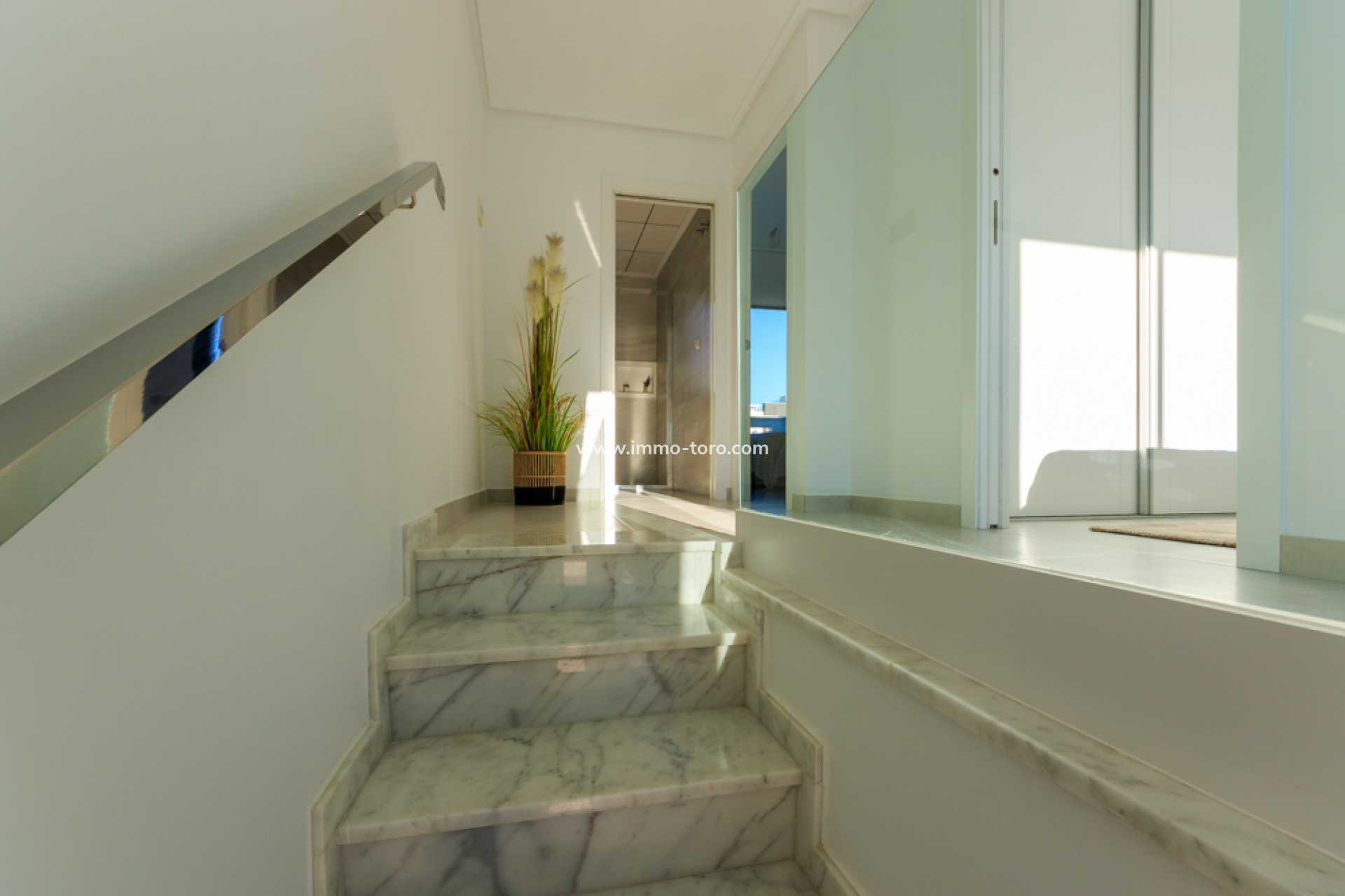 New Build - Detached house / Townhouse - Pilar de la Horadada