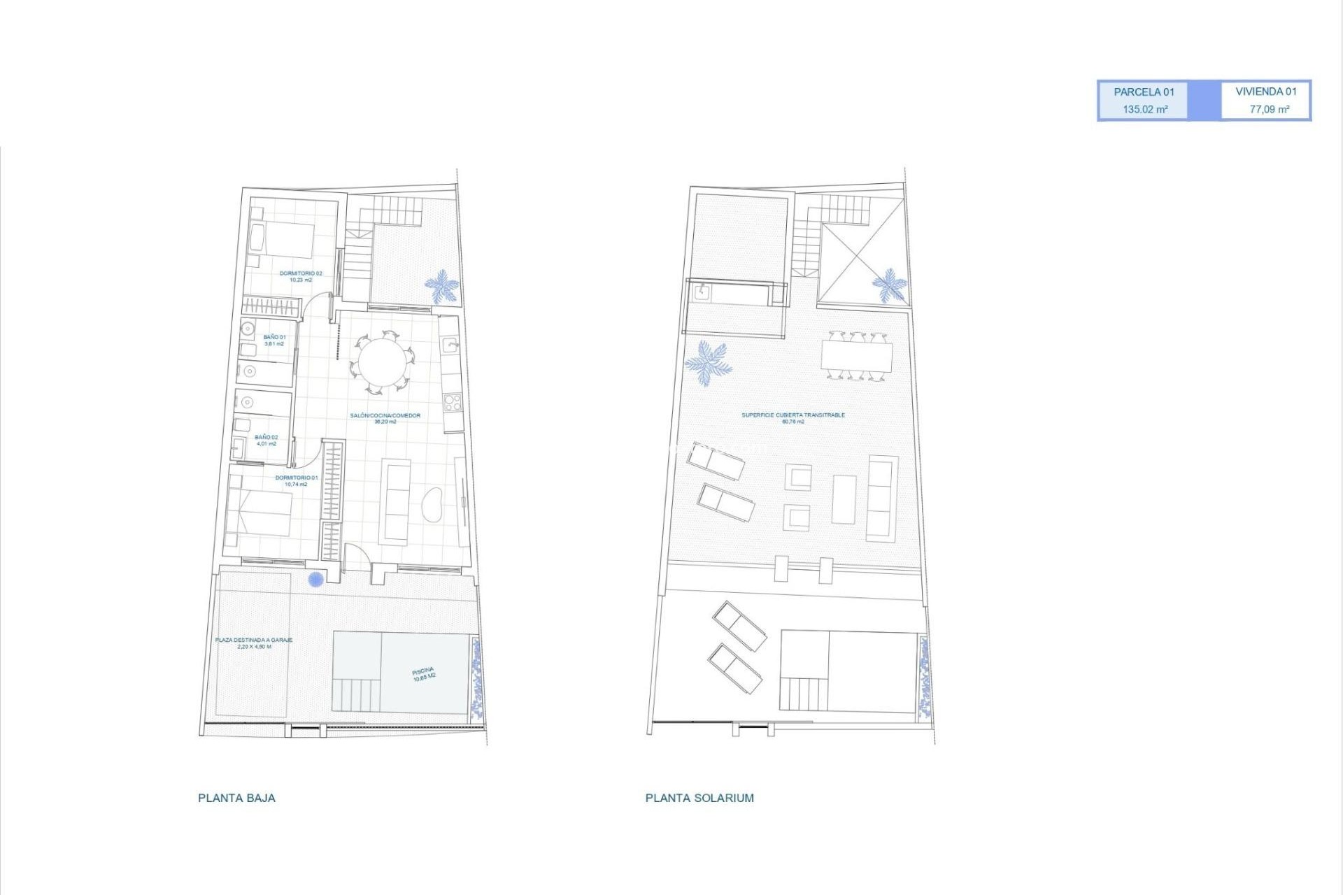 New Build - Detached house / Townhouse - Torre Pacheco - El Alba