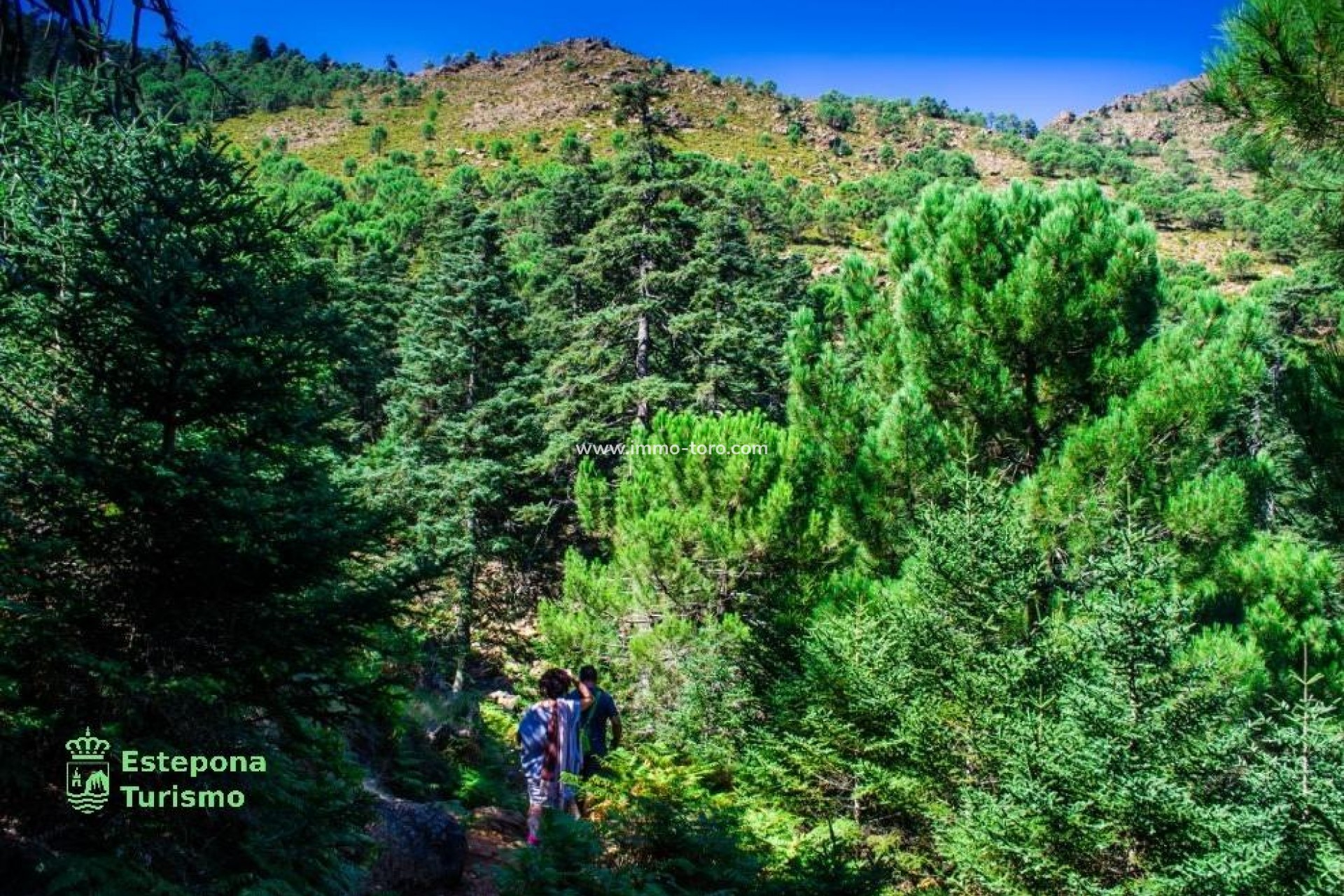 New Build - Penthouse - Málaga - Playa de La Rada