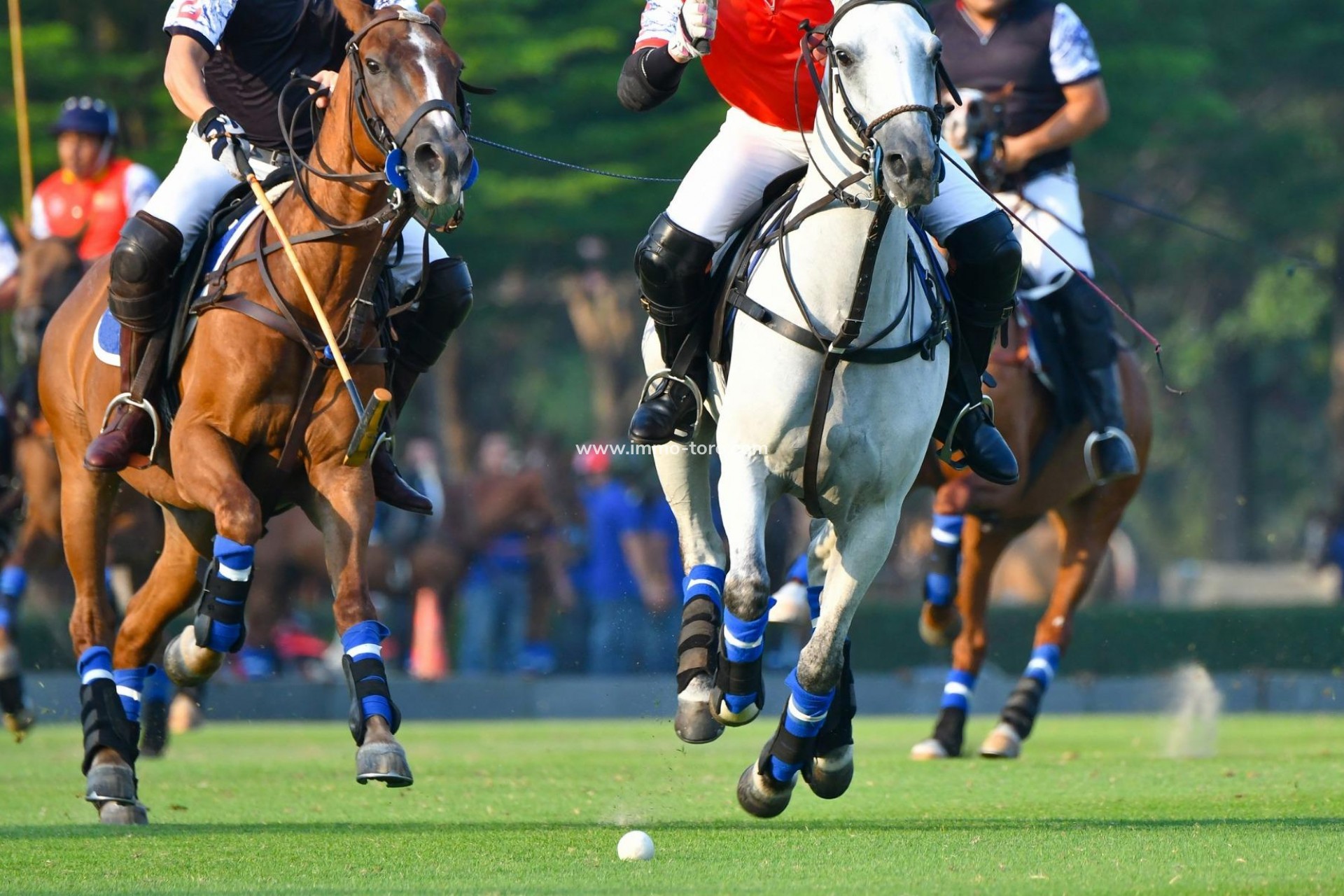 New Build - Penthouse - Manilva - Bahia De Las Rocas