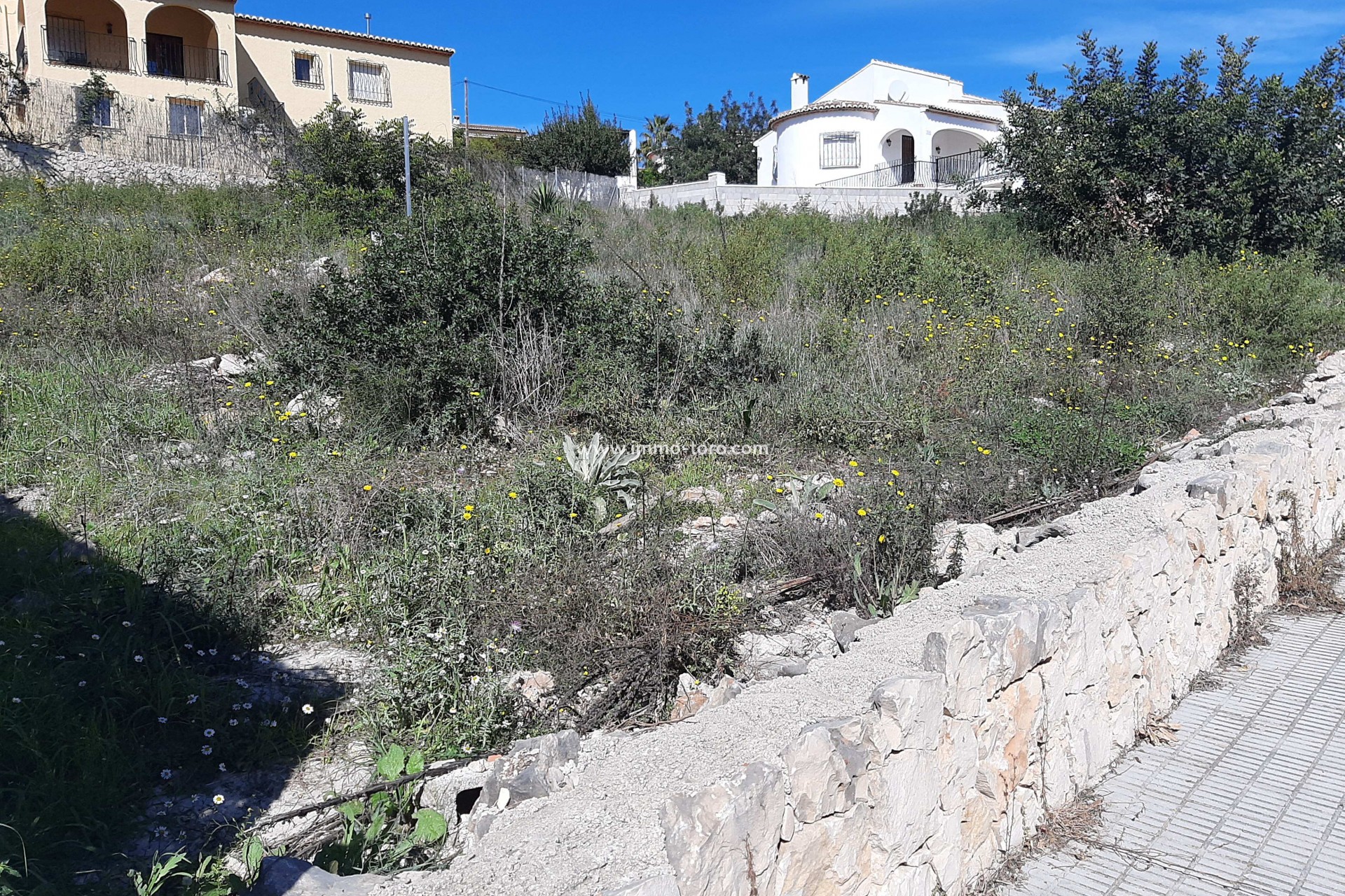 New Build - Villa - Alcalalí - Benarrosa Garden