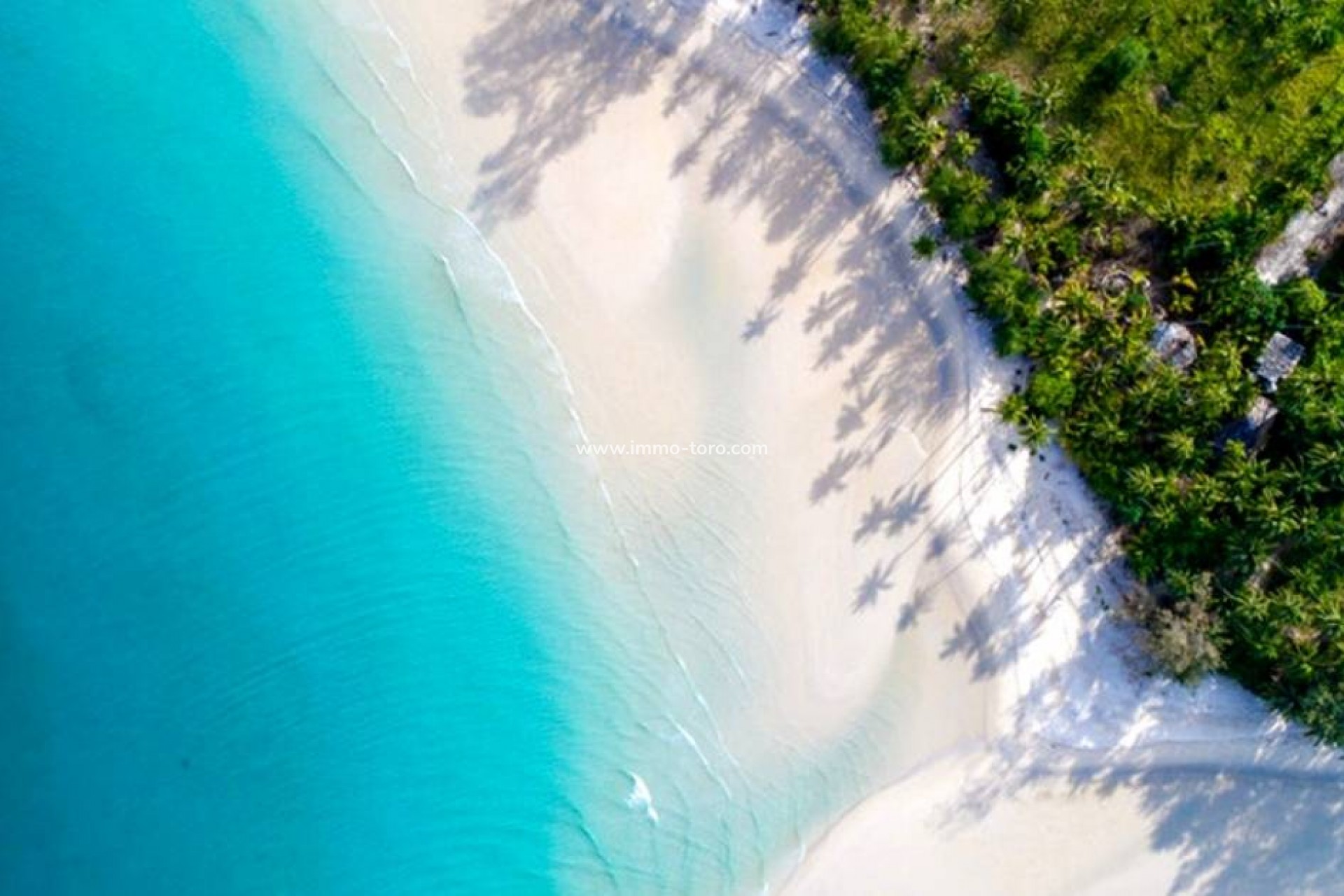 New Build - Villa - Ciudad Quesada