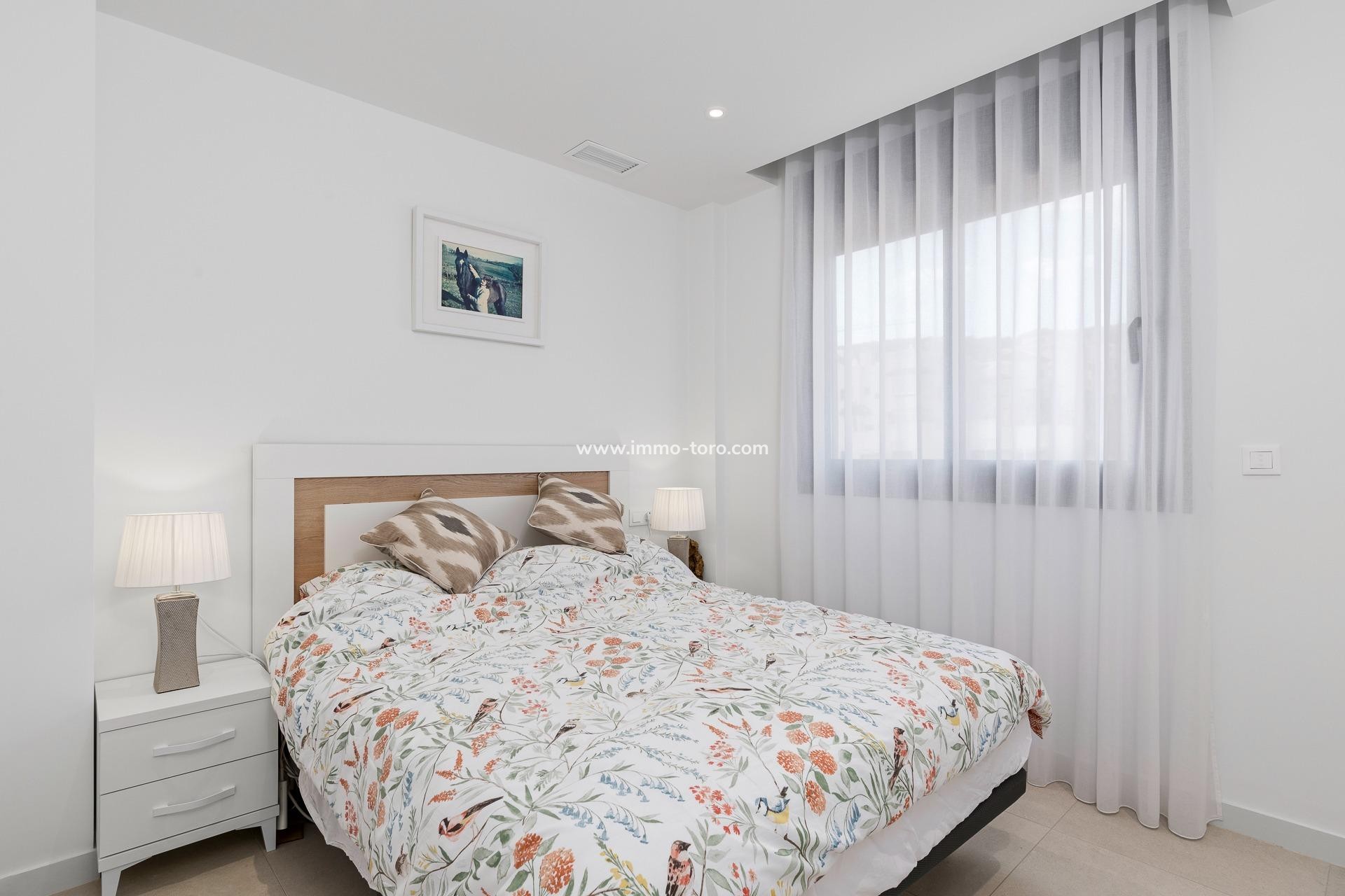 New Build - Villa - Guardamar - Els secans