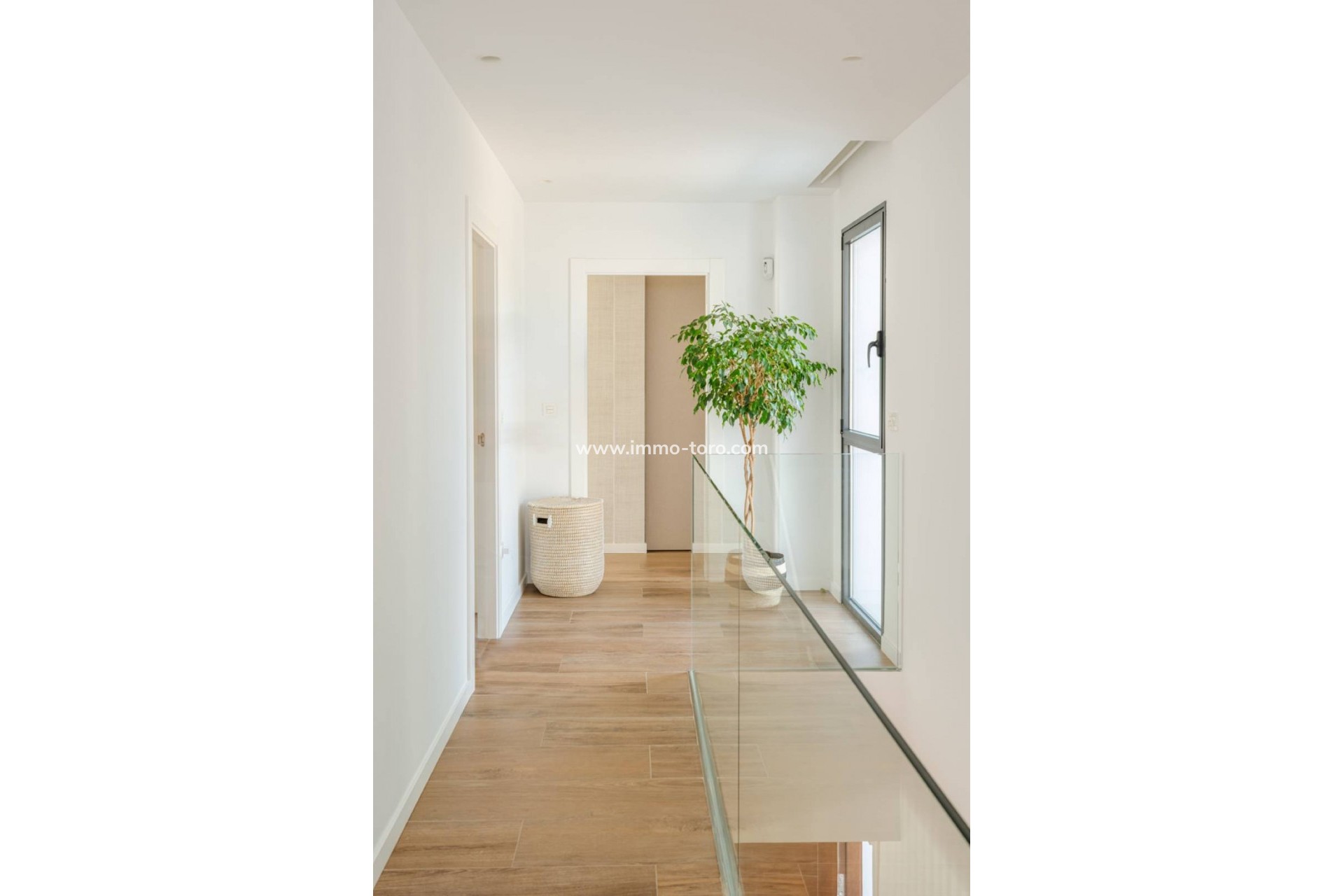 New Build - Villa - Molina De Segura - Molina de Segura