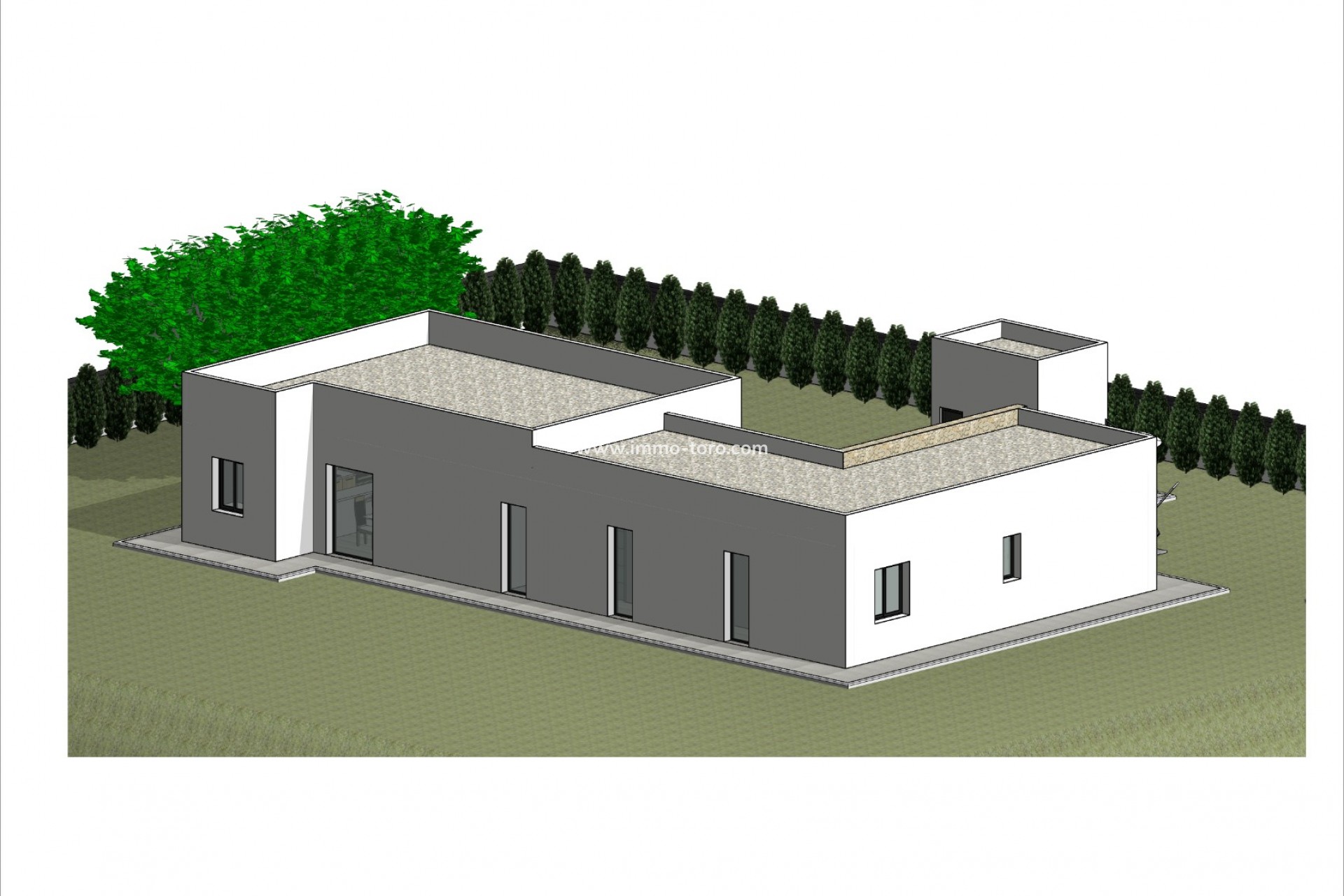 New Build - Villa - Pinoso