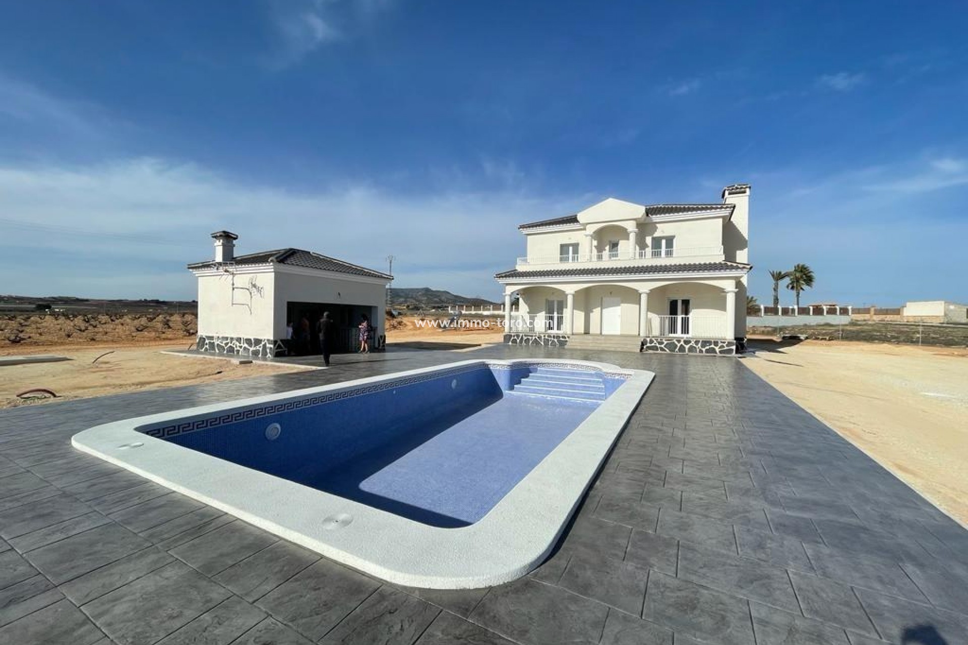 New Build - Villa - Pinoso