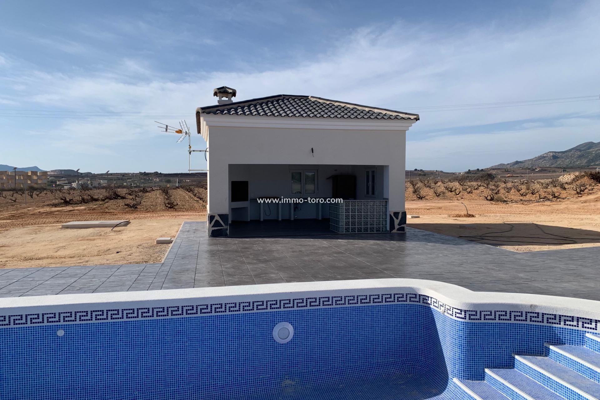 New Build - Villa - Pinoso
