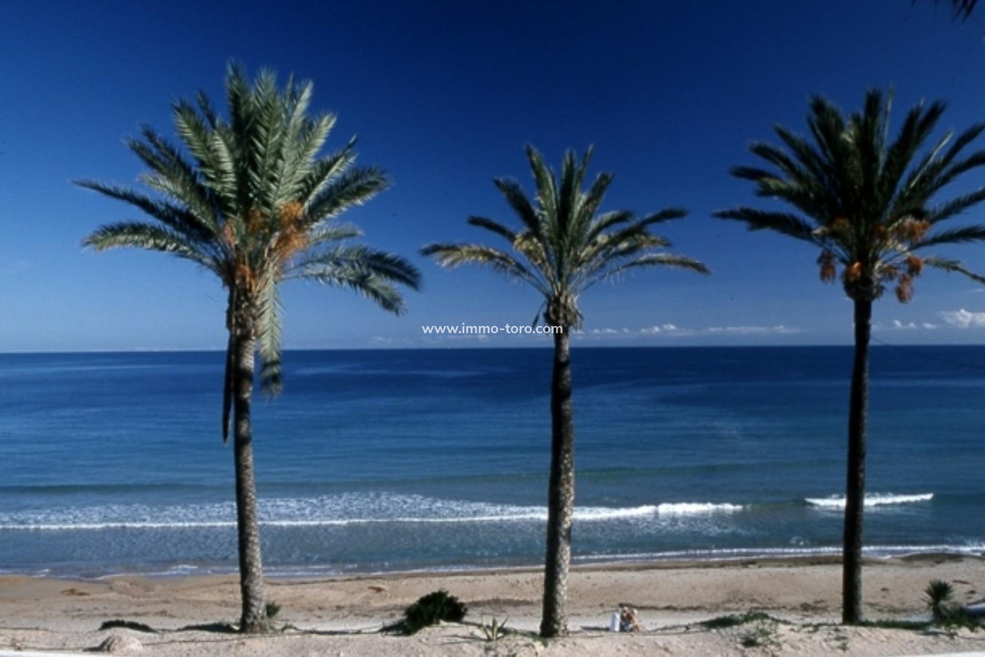 Nieuwbouw - Appartement  - Pilar de la Horadada - Parque Ramon eugenio Escudero