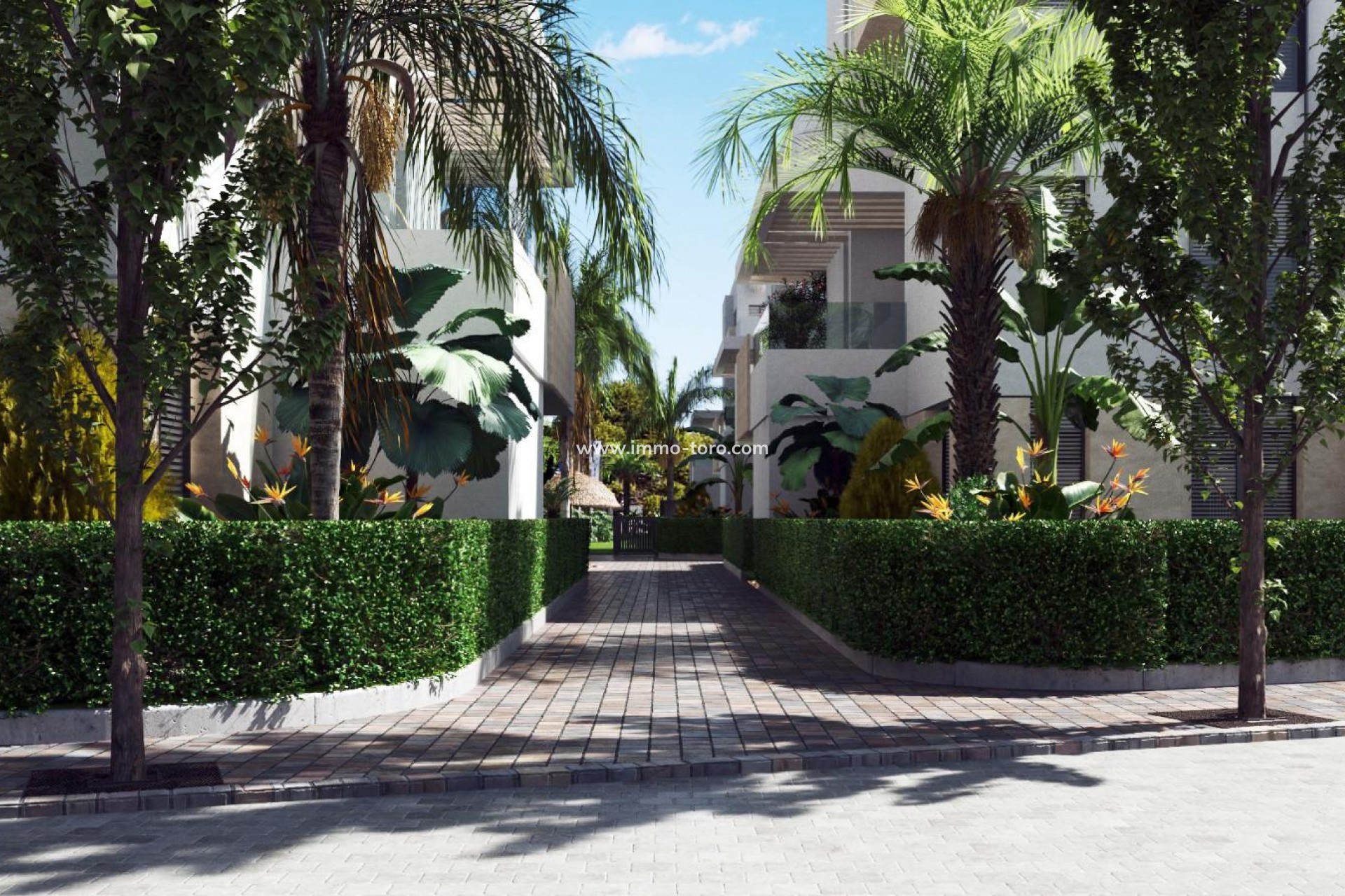 Nieuwbouw - Appartement  - Santa Rosalía