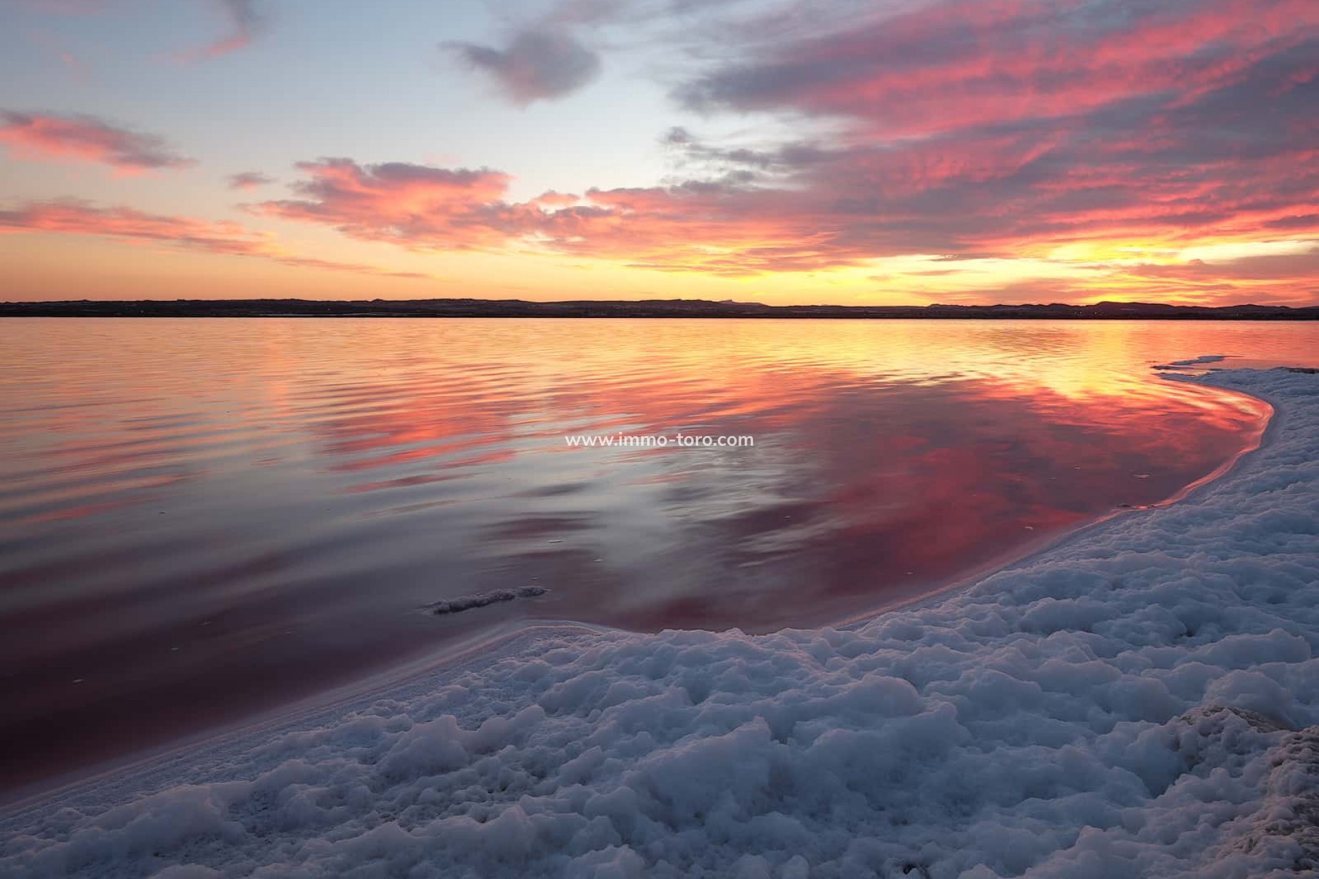 Nieuwbouw - Appartement  - Torrevieja - Costa Blanca South