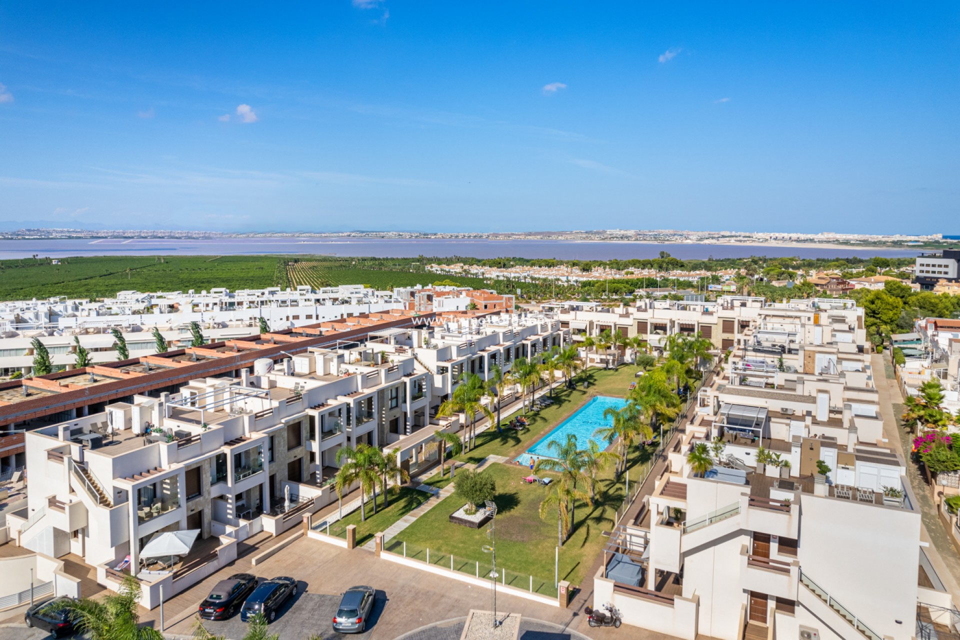 Nieuwbouw - Appartement  - Torrevieja