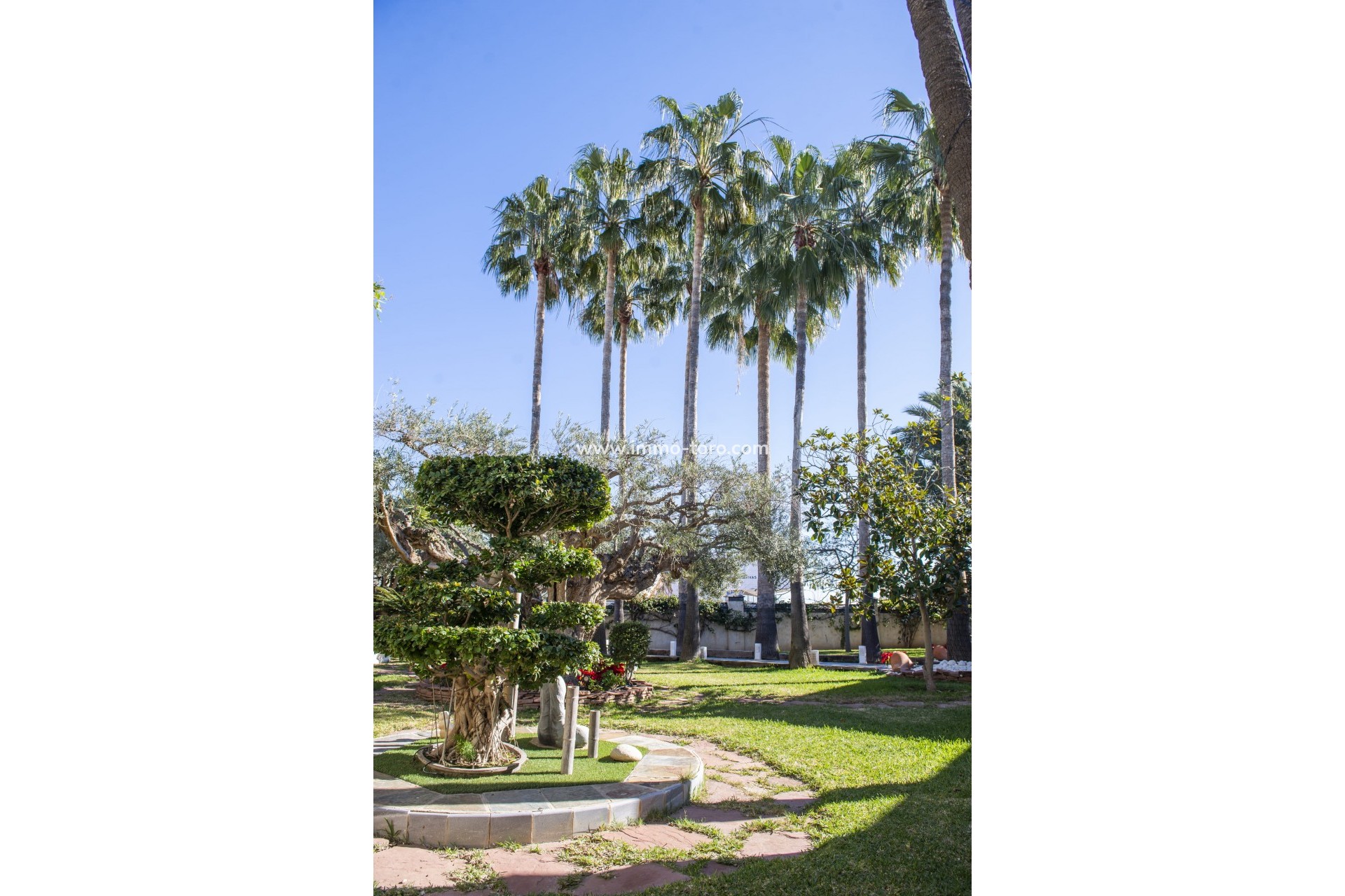 Nieuwbouw - Villa - San Pedro del Pinatar