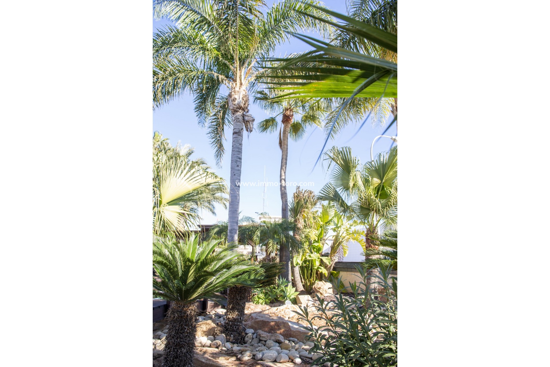 Nieuwbouw - Villa - San Pedro del Pinatar