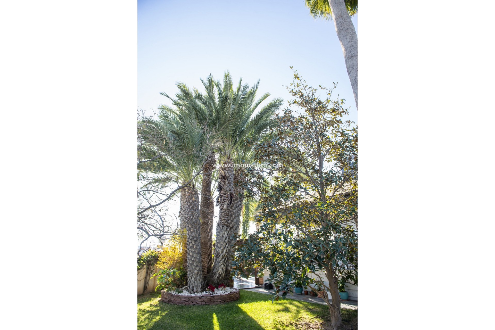 Nieuwbouw - Villa - San Pedro del Pinatar