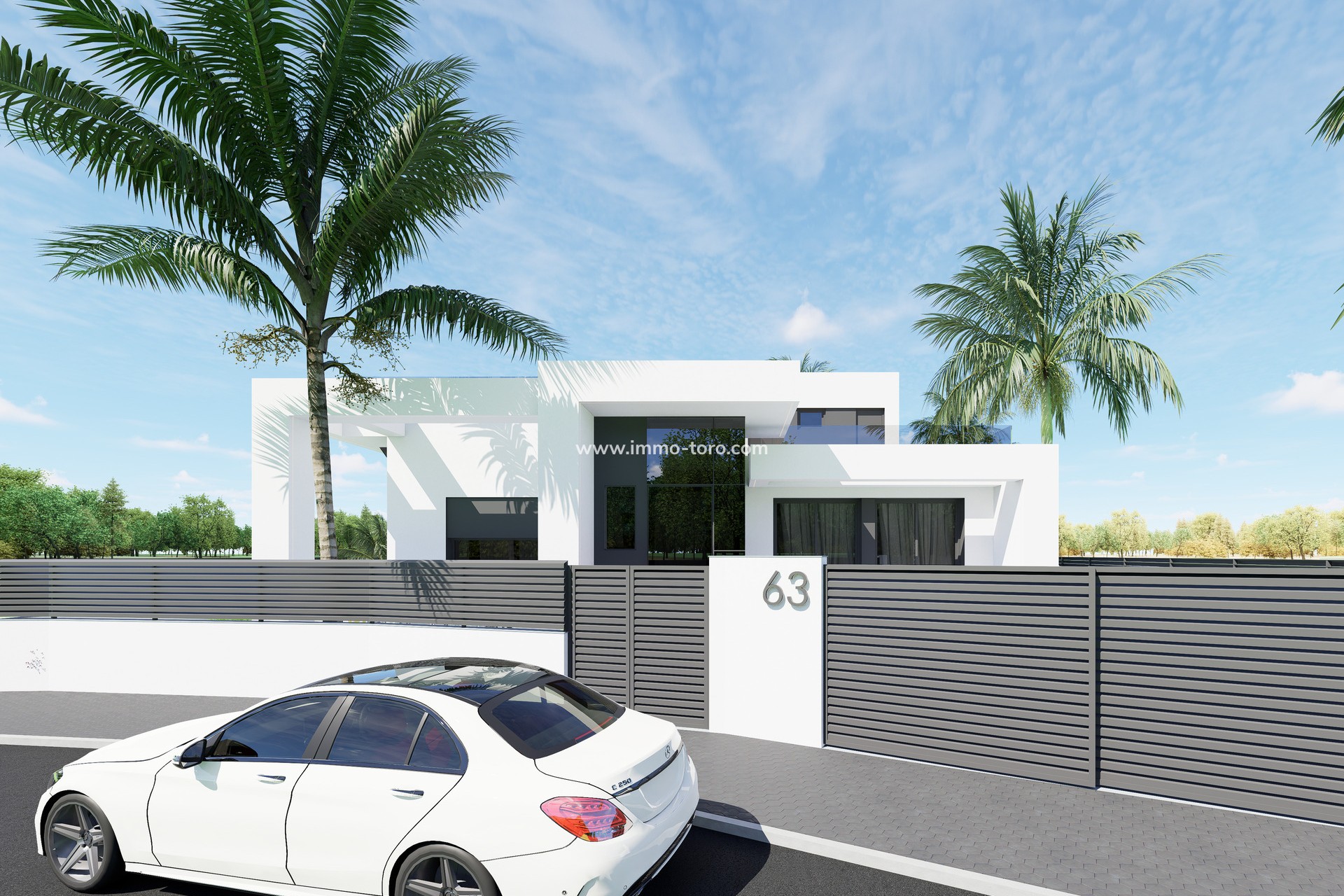 Nieuwbouw - Villa - Santa Rosalía