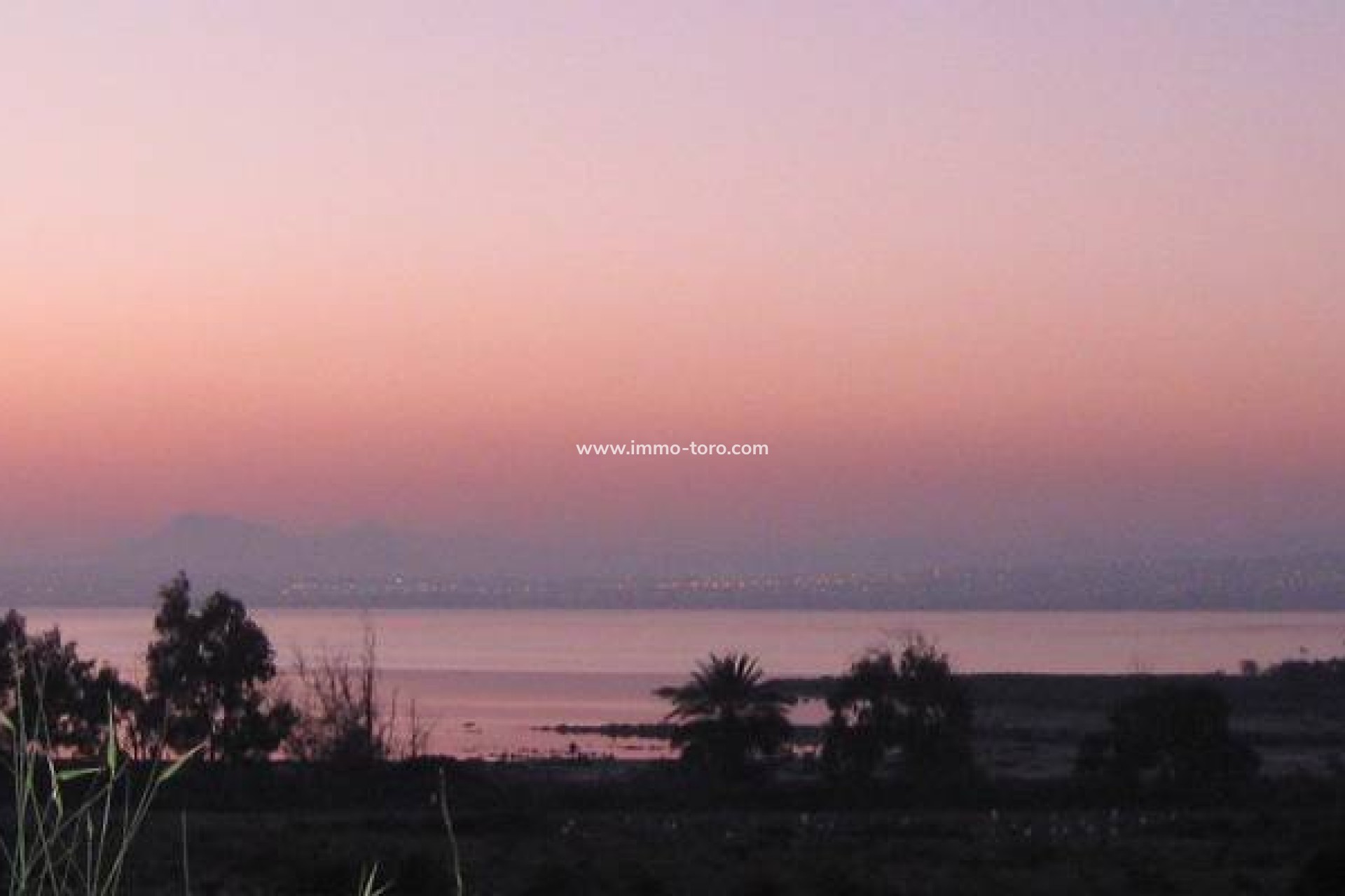 Nouvelle construction - Appartement - Guardamar del Segura